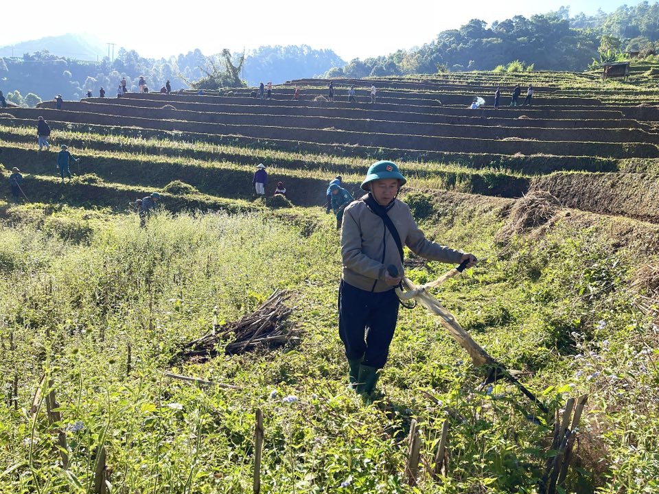 586645088 1654965482586844 138725370019540305 n