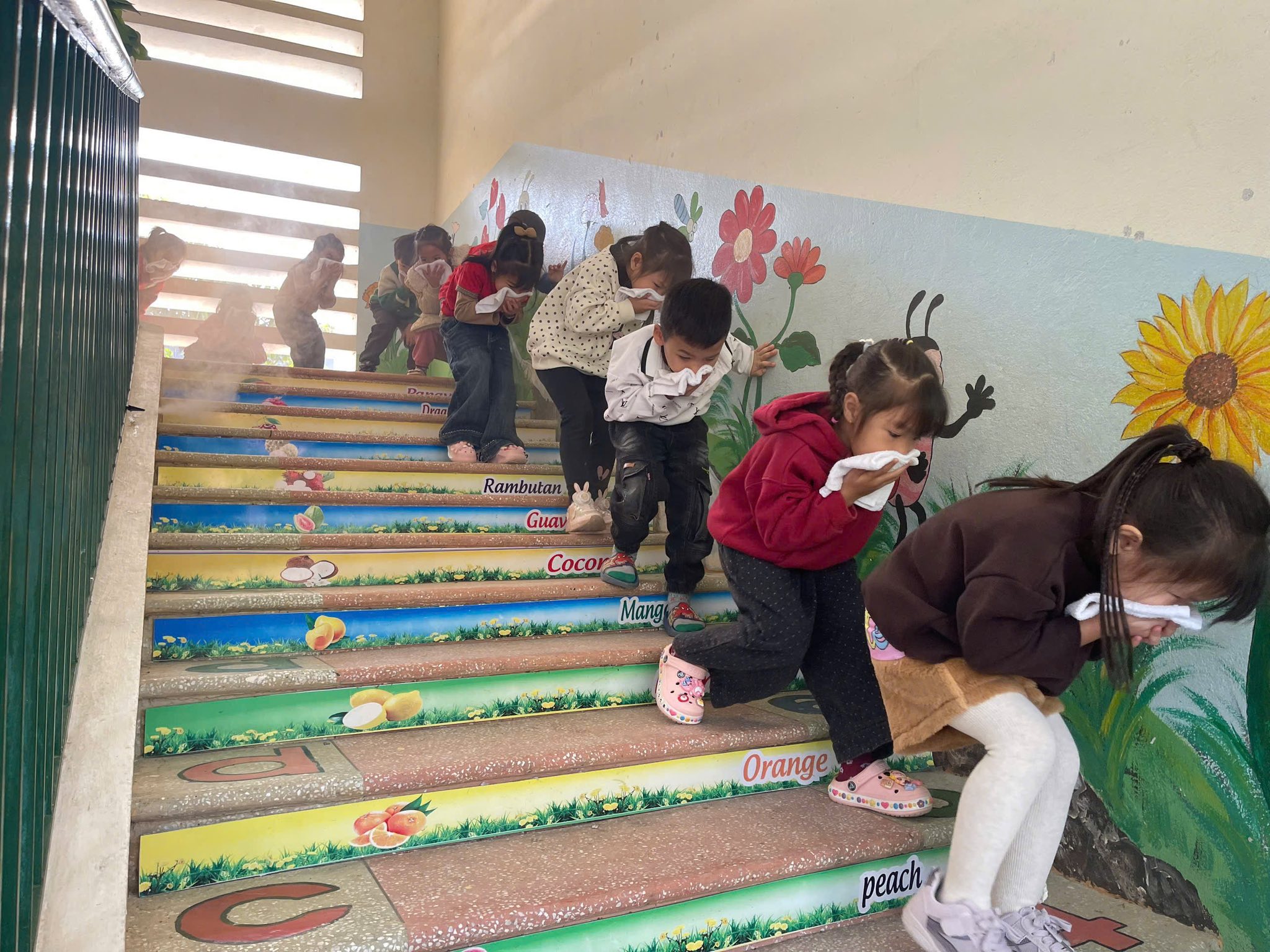 587227919 122227034324090189 5259636739494209860 n