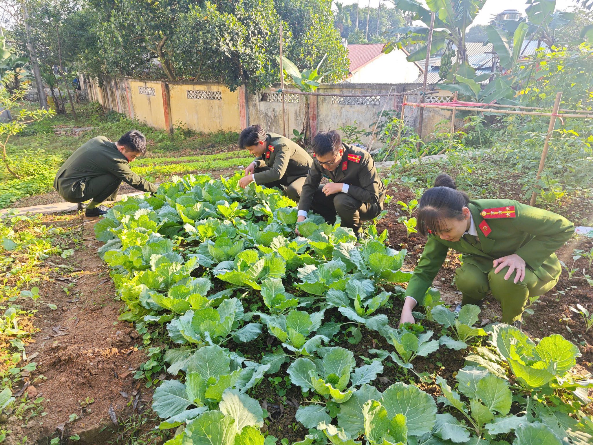 Tuổi trẻ Công an tỉnh Lào Cai ra quân “Ngày Chủ nhật xanh”: Lan tỏa lối sống xanh, dựng xây môi trường bền vững 10 587230637 1165140762476804 5580702971810376806 n