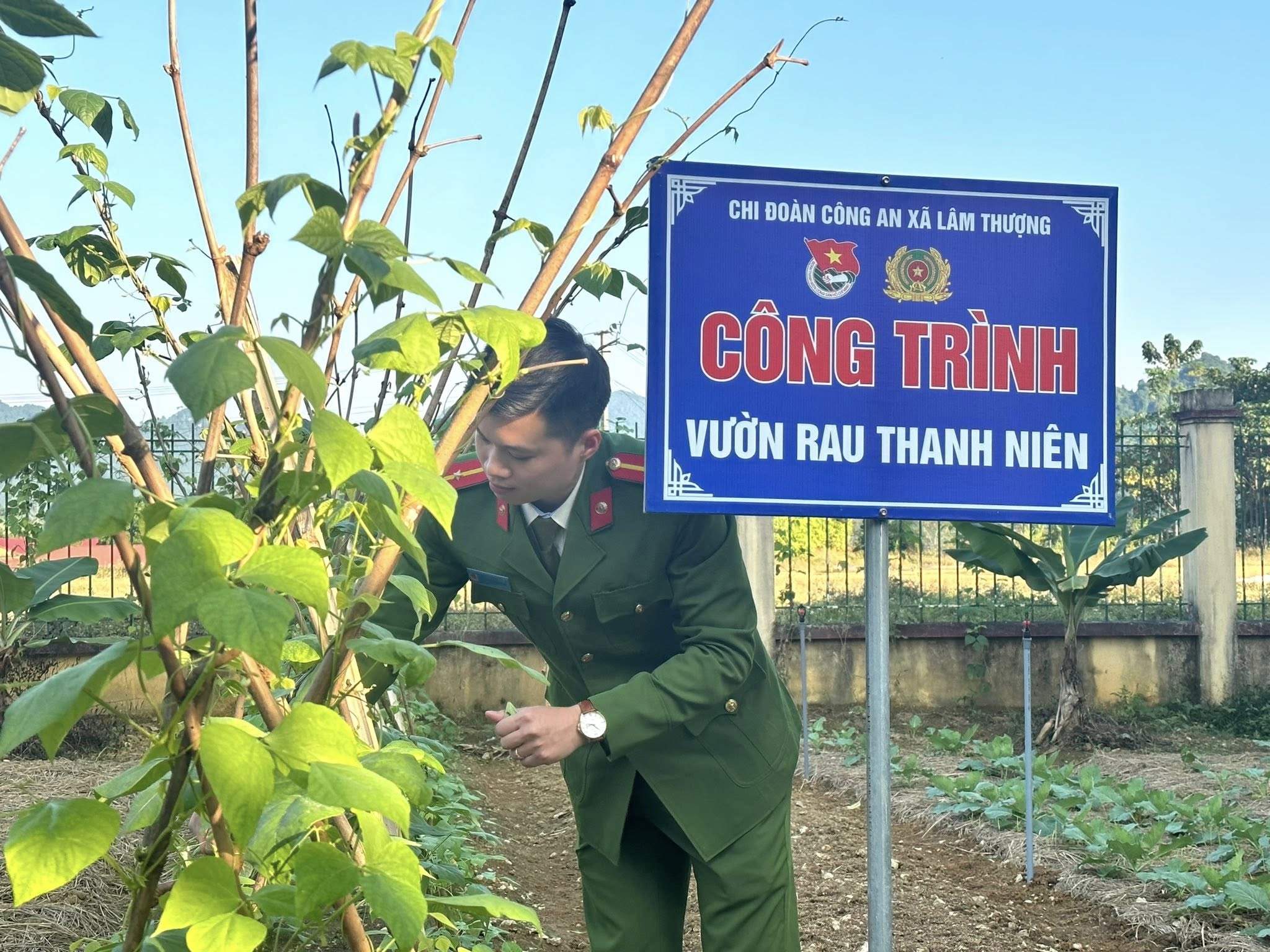 Tuổi trẻ Công an tỉnh Lào Cai ra quân “Ngày Chủ nhật xanh”: Lan tỏa lối sống xanh, dựng xây môi trường bền vững 2 587762127 1203293312004144 8445563830530944355 n