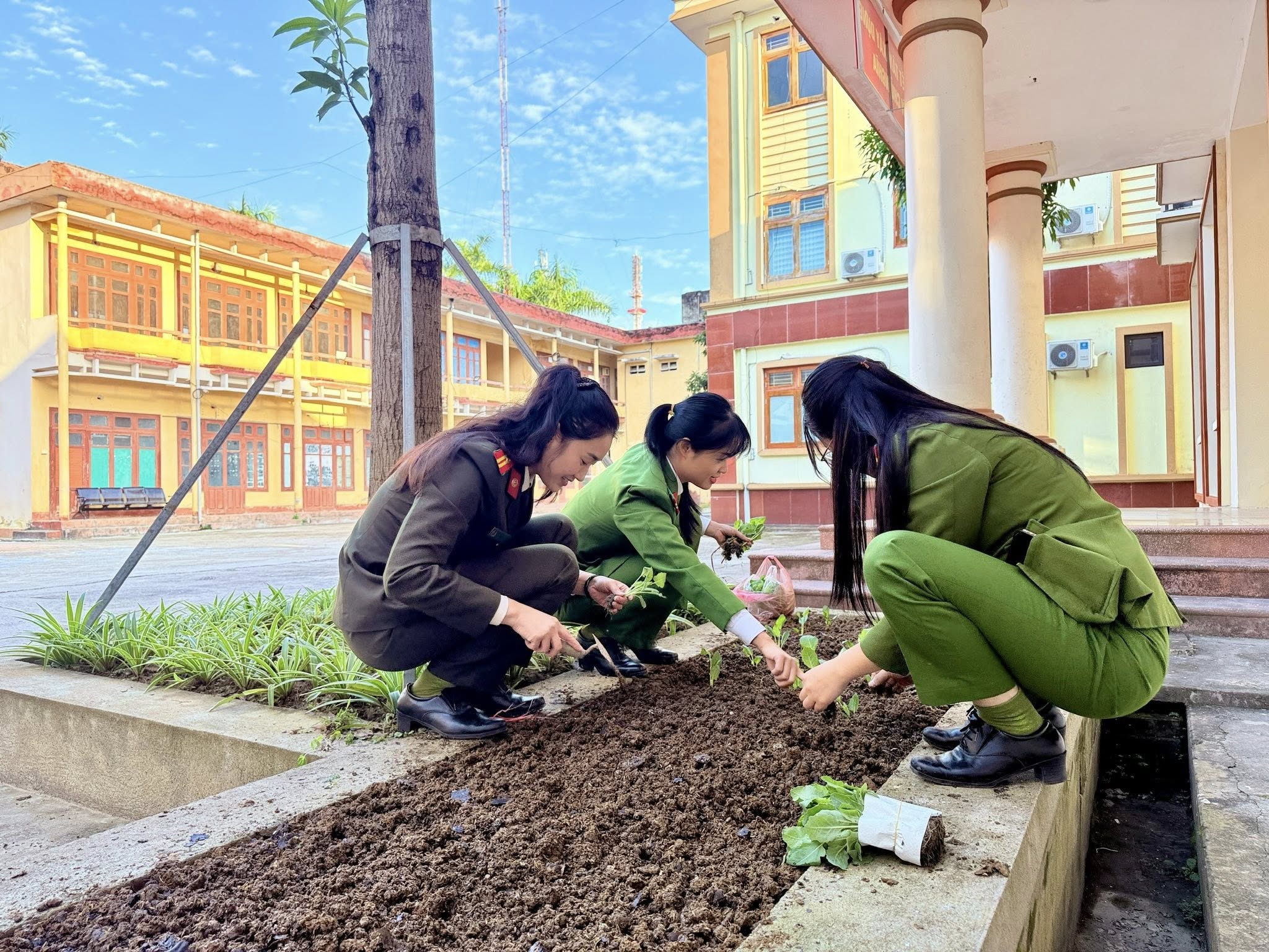 Tuổi trẻ Công an tỉnh Lào Cai ra quân “Ngày Chủ nhật xanh”: Lan tỏa lối sống xanh, dựng xây môi trường bền vững 14 588348325 1165144665809747 8765876174035730357 n