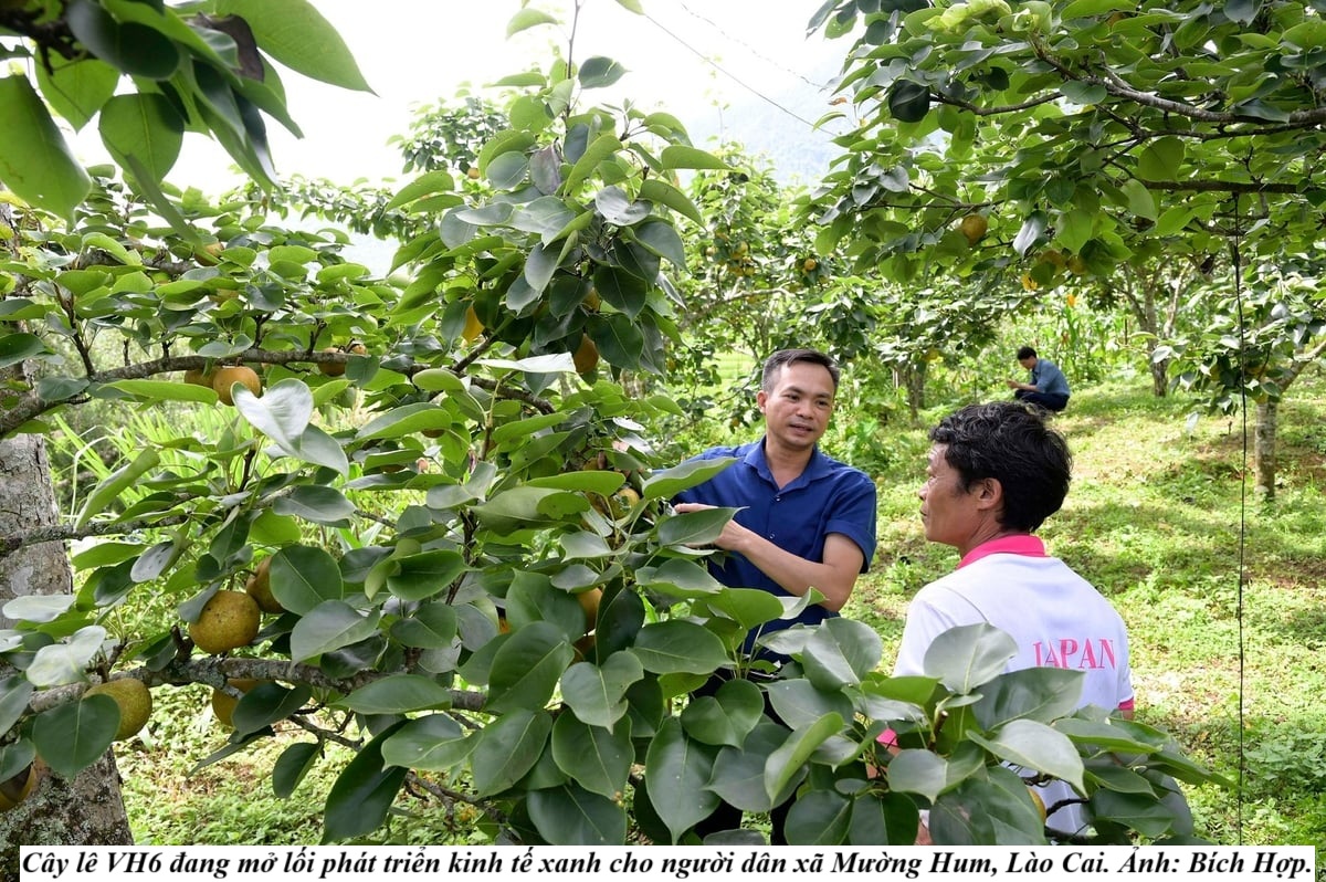 588400378 778093148622828 620842784389582109 n