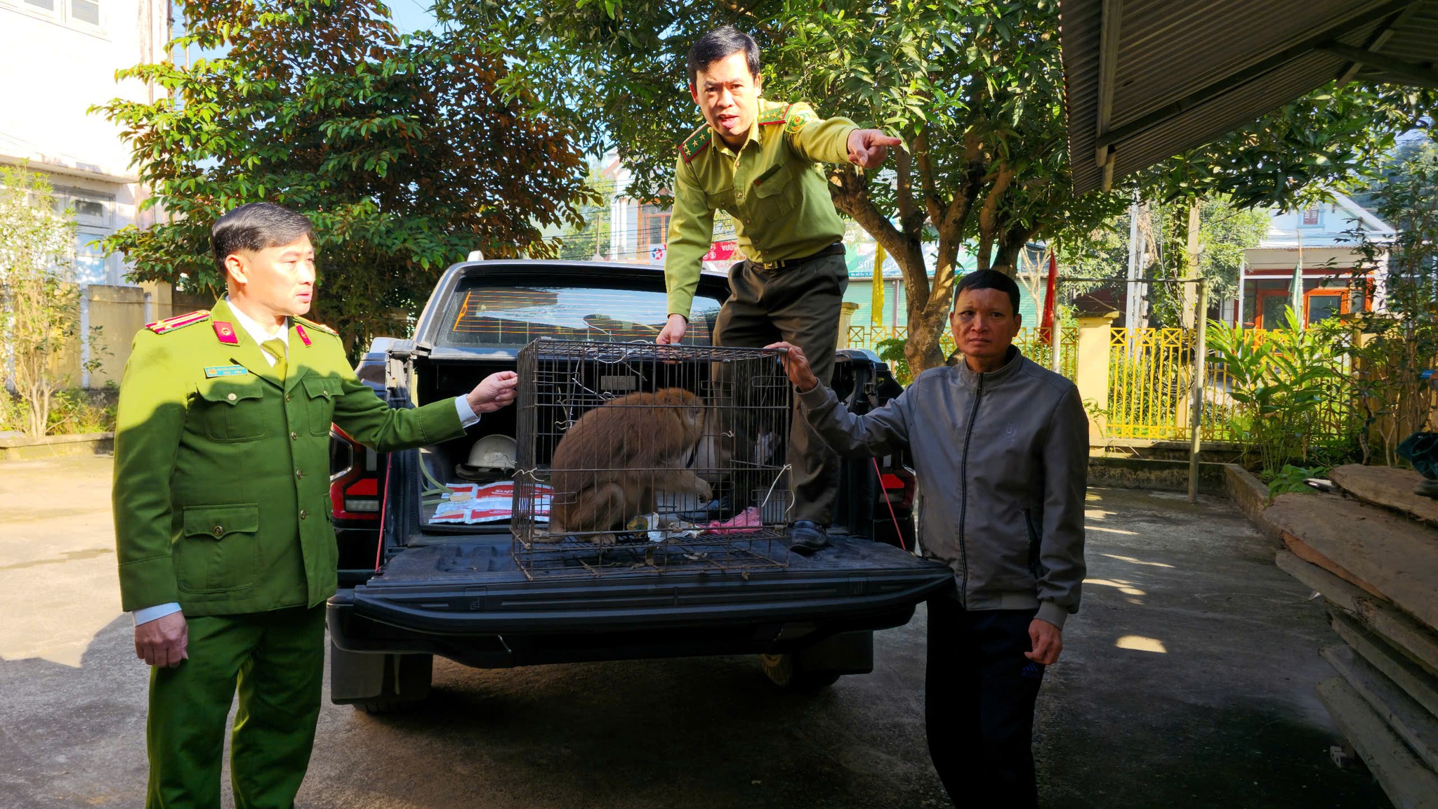 Công dân Phong Hải tự nguyện giao nộp khỉ quý hiếm: Hành động đẹp lan tỏa ý thức bảo vệ thiên nhiên 1 588572223 1675213013732781 83053158012185956 n