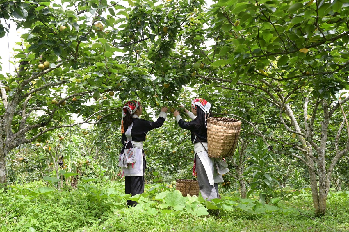 588627760 778093185289491 1170182509340412014 n