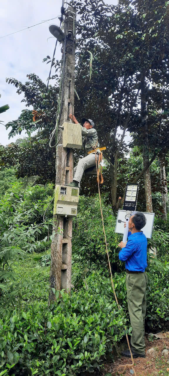 588812723 122144904650920501 3699560236367545145 n 1