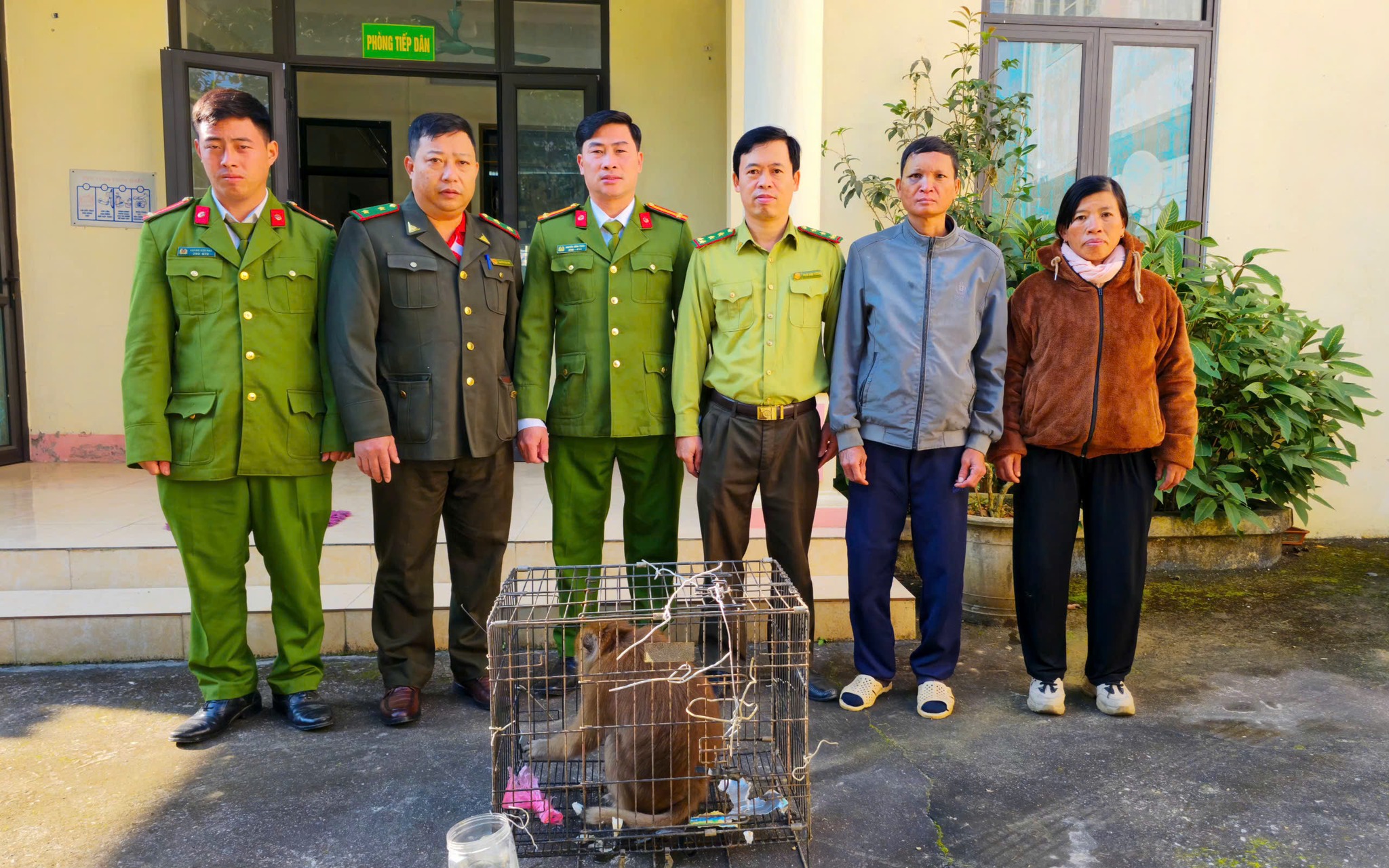 Công dân Phong Hải tự nguyện giao nộp khỉ quý hiếm: Hành động đẹp lan tỏa ý thức bảo vệ thiên nhiên 2 589410683 1675213020399447 5641556860497475245 n