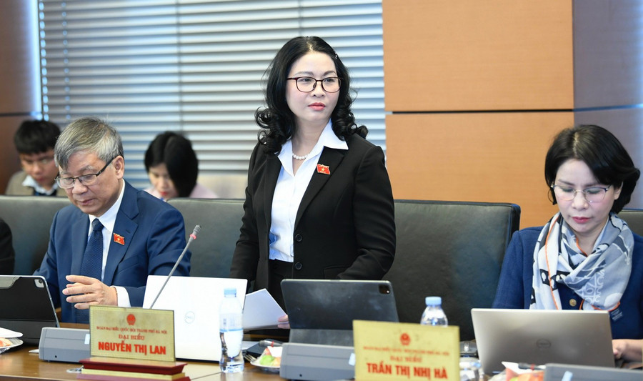 GS.TS Nguyễn Thị Lan - đại biểu Quốc hội TP Hà Nội, Giám đốc Học viện Nông nghiệp Việt Nam.