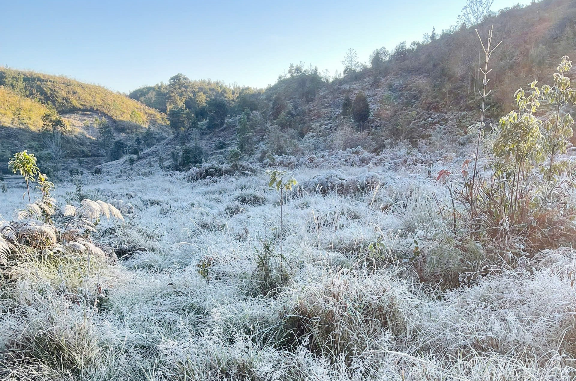 Lào Cai: Không khí lạnh tăng cường, Y Tý xuất hiện băng tuyết 4 image 7