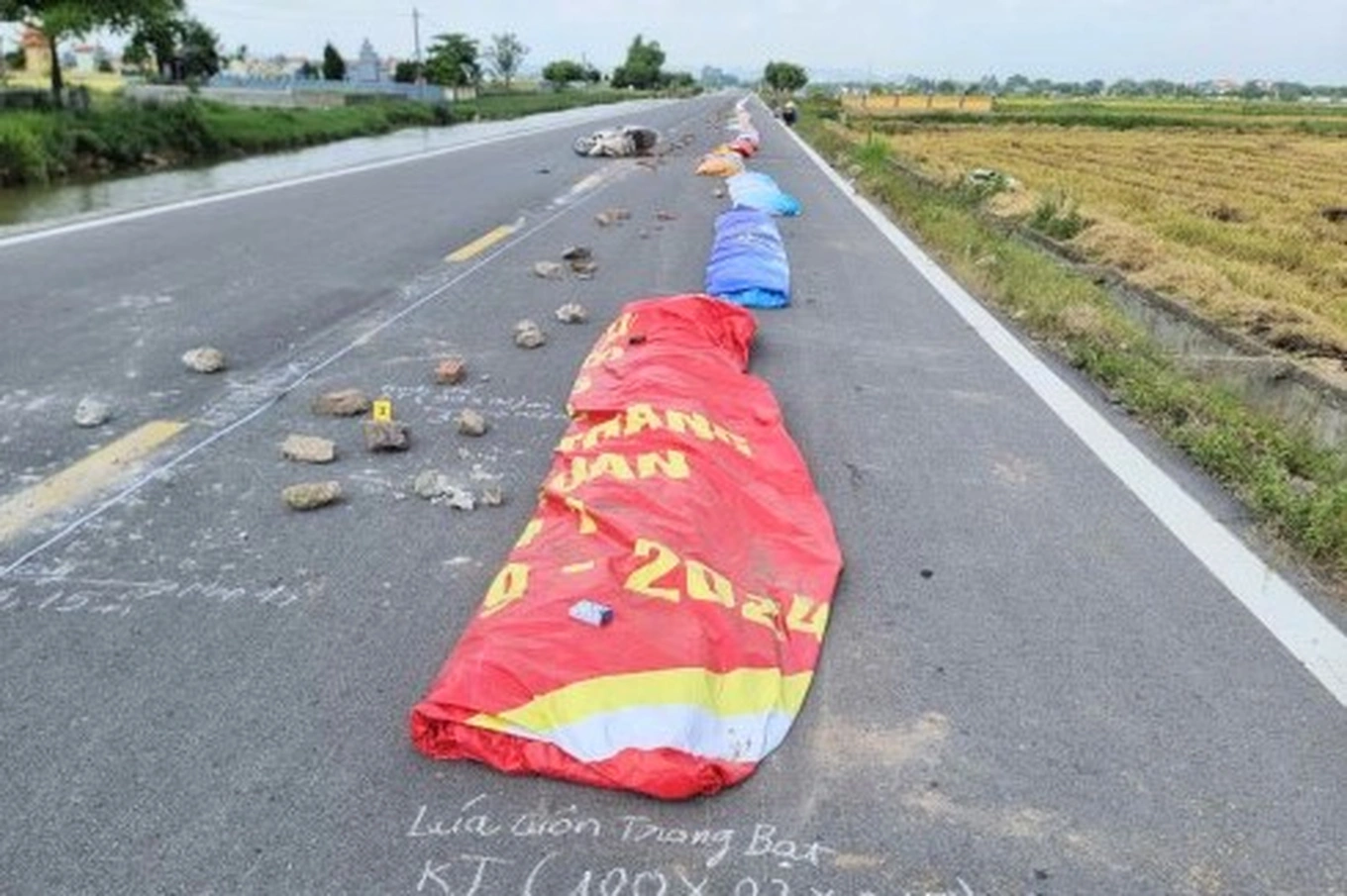 phoi luajpg 1762694037565