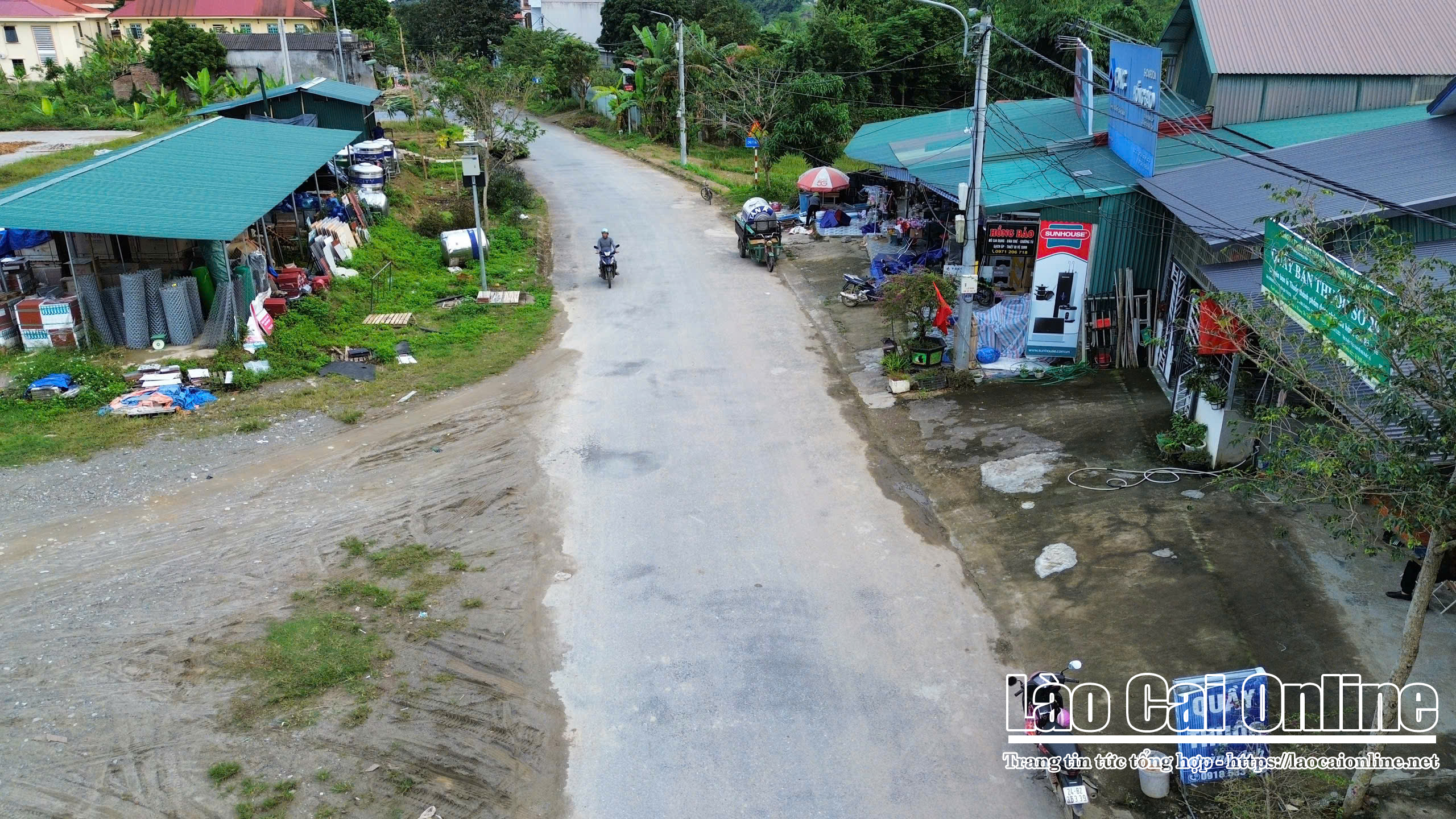 Vị trí xảy ra tai nạn là một khúc cua nhỏ, dễ quan sát, nhưng do chú chó nằm sau cây cảnh và bất ngờ lao ra đường khiến chị Ánh không kịp phản xạ. Ảnh Du Kỷ