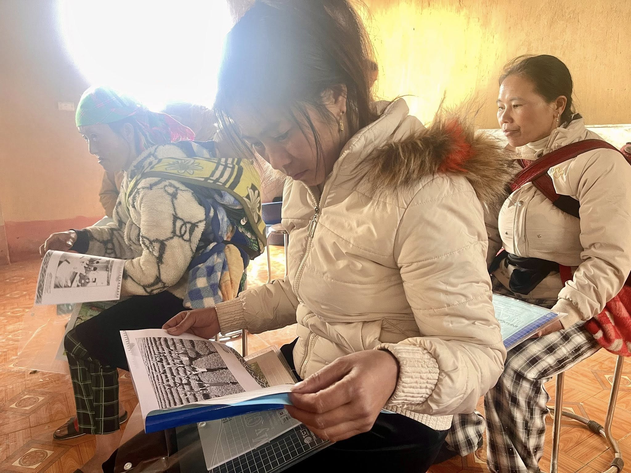 590661469 1388437119959016 8451165489110581423 n