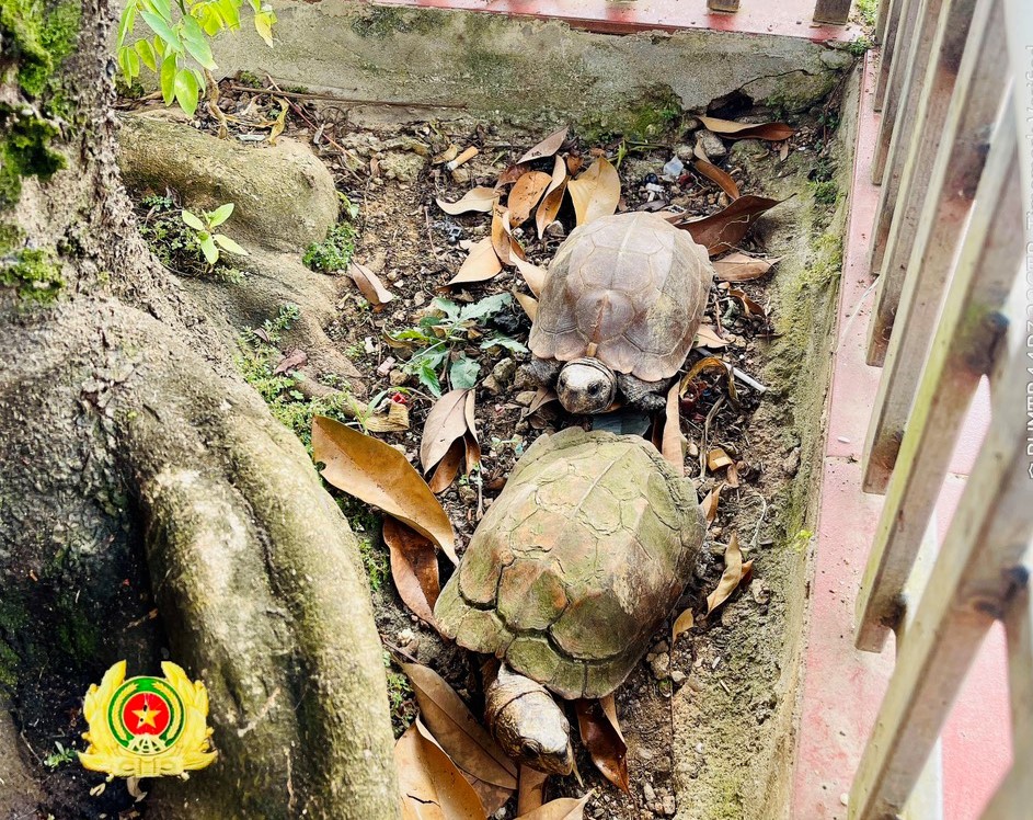 594058436 844121005044144 9187363429034488609 n