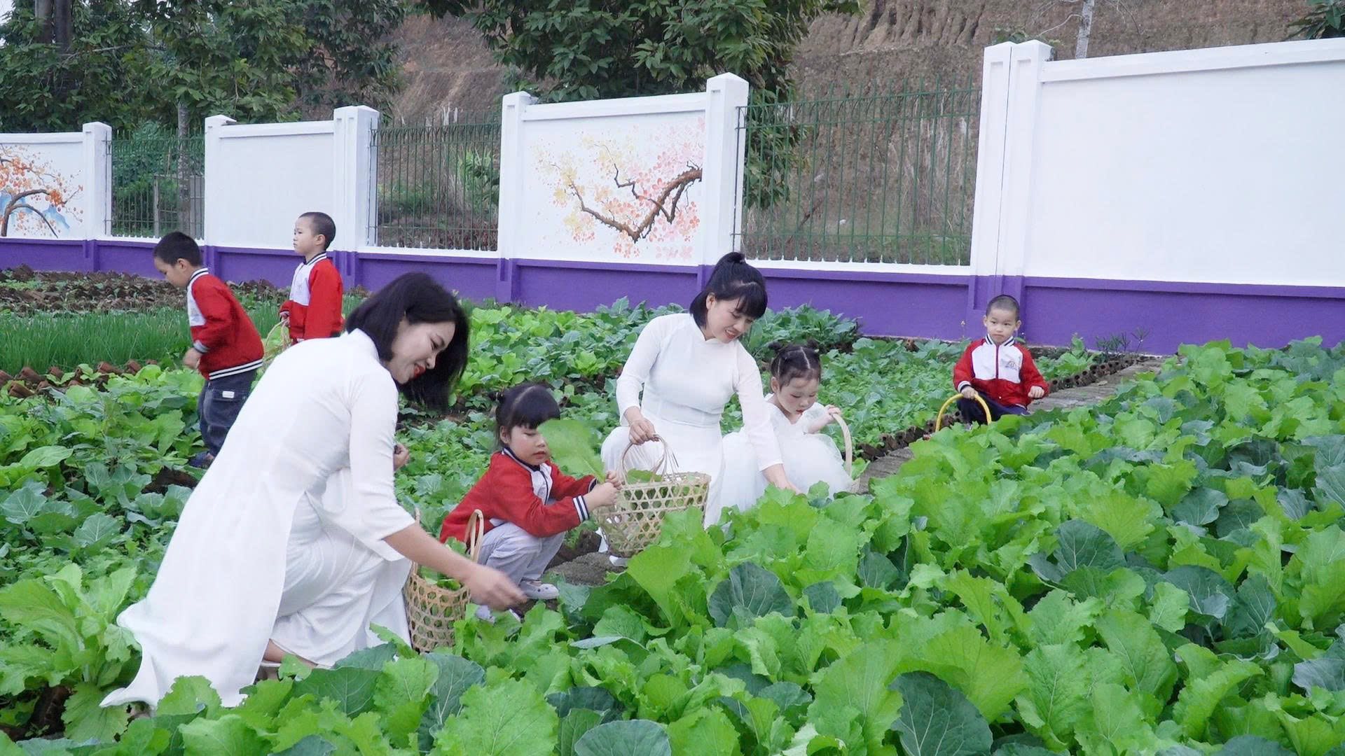 Lớp học giữa thiên nhiên xanh – Hành trình gieo mầm hạnh phúc cho trẻ mầm non Cam Đường 9 596740560 881795377690285 8756970560792984947 n