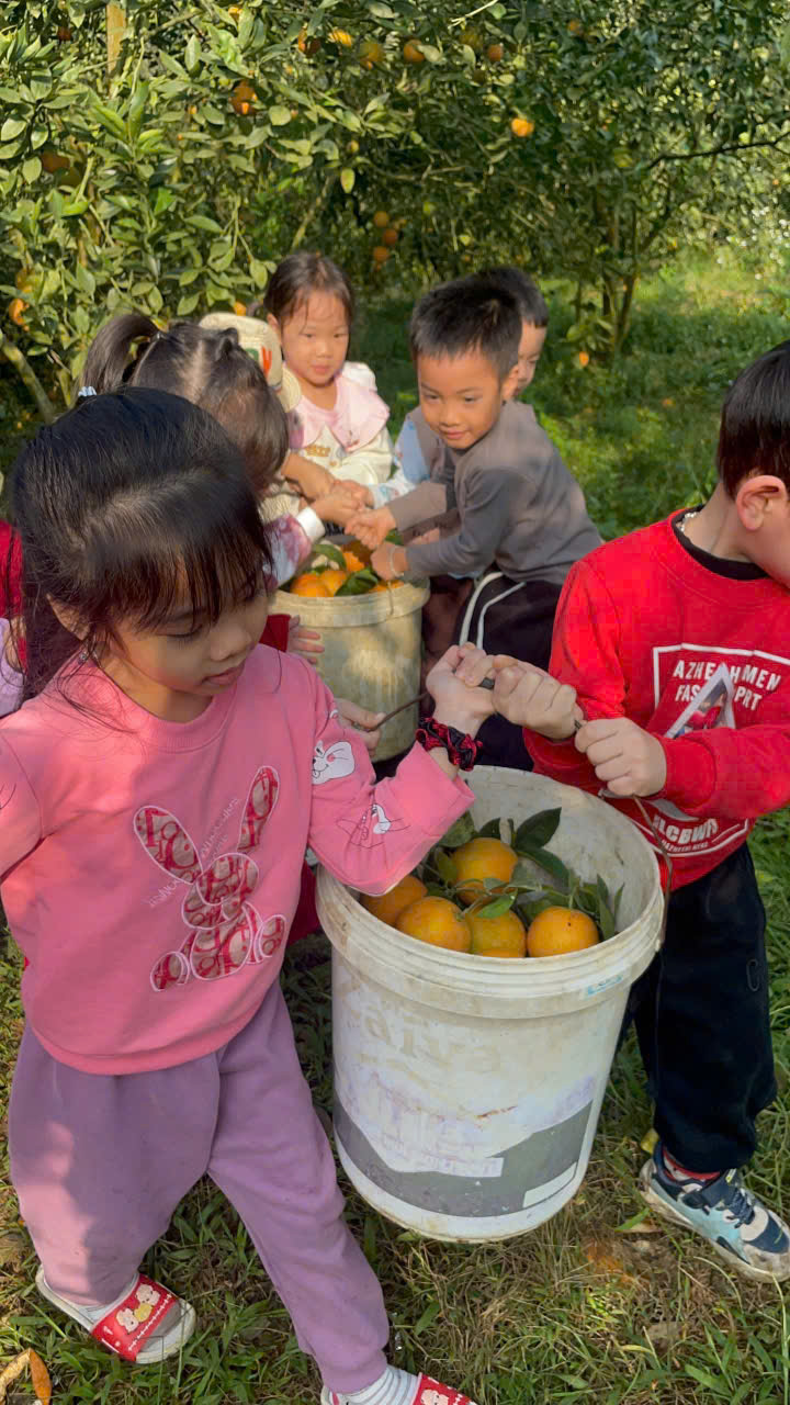 596797595 1427739389359676 4982435600714213120 n