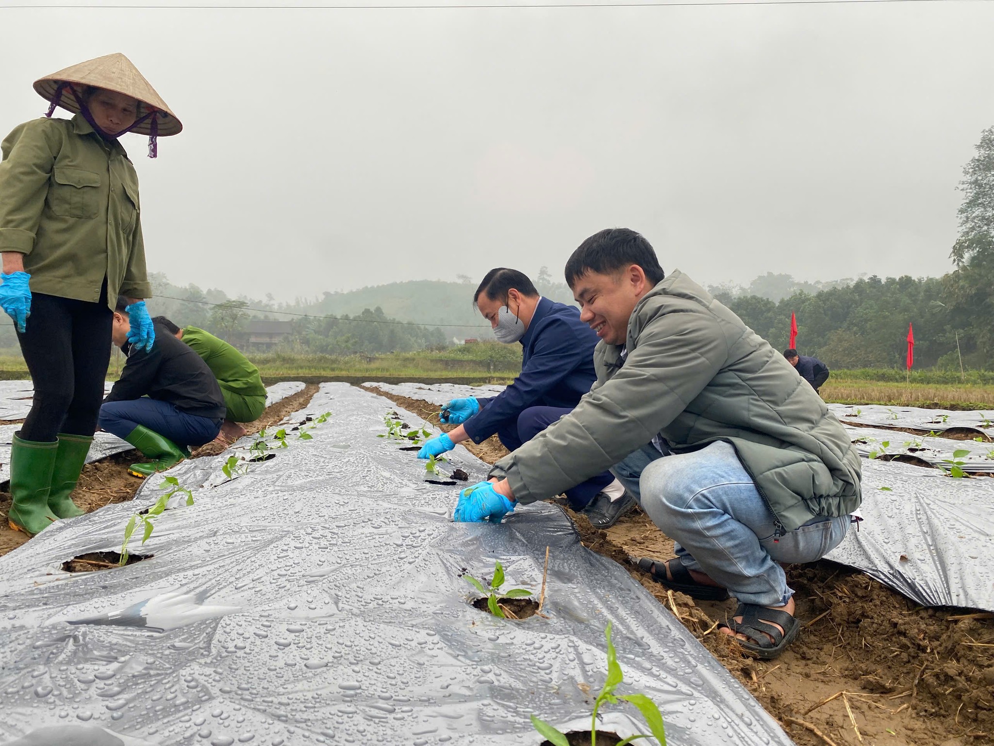 596819967 122152956614924737 7246865256763316199 n