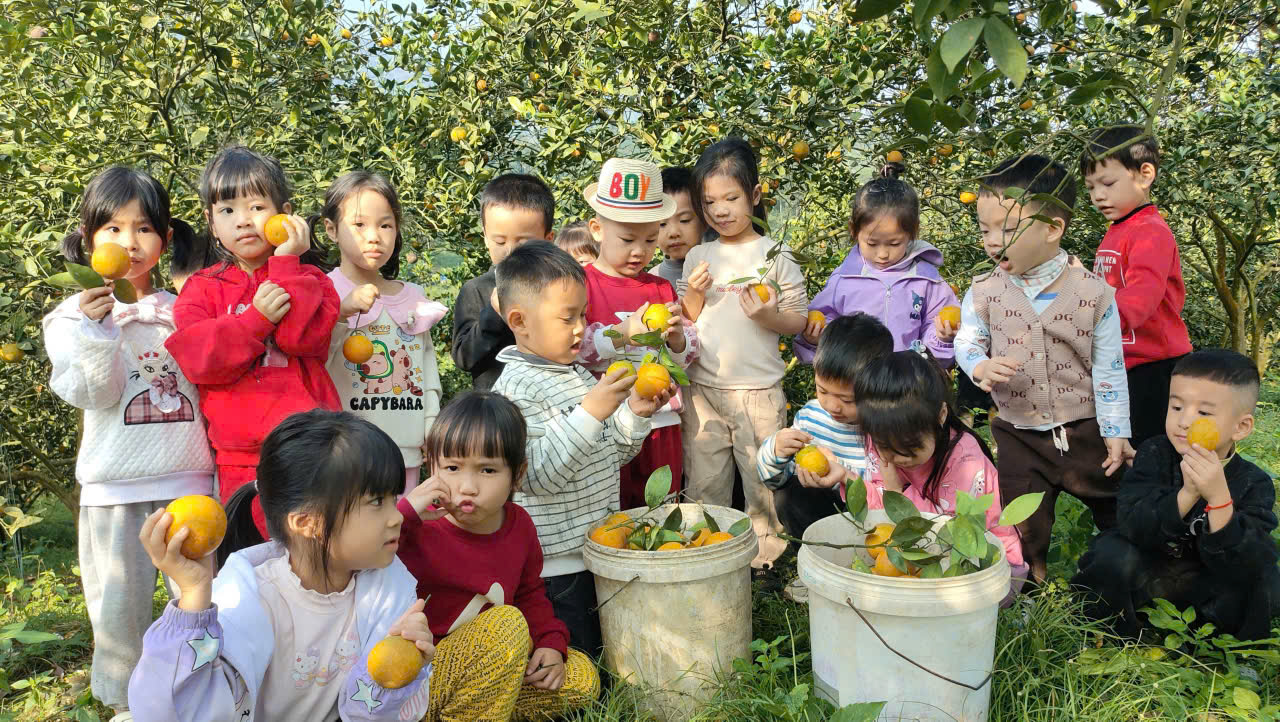 596962826 1427737539359861 5454762251306550420 n