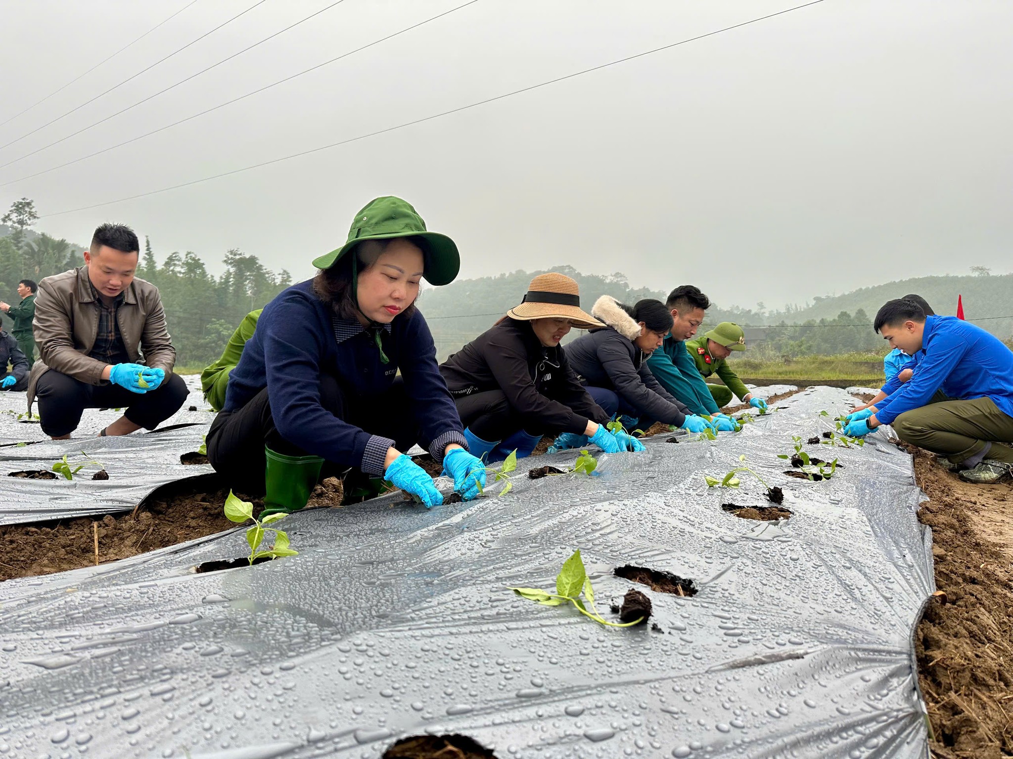 597223266 122152956308924737 4367023061083074928 n