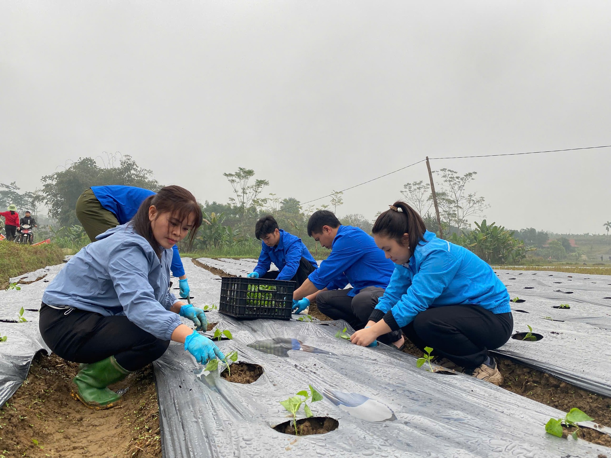 597409075 122152956872924737 5685016016089268056 n