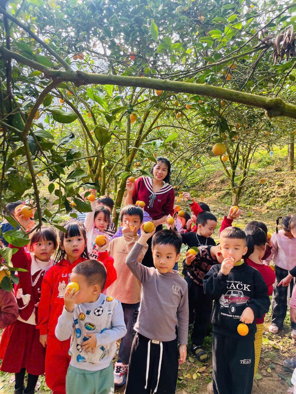 597804549 1427742936025988 4506192029555060982 n