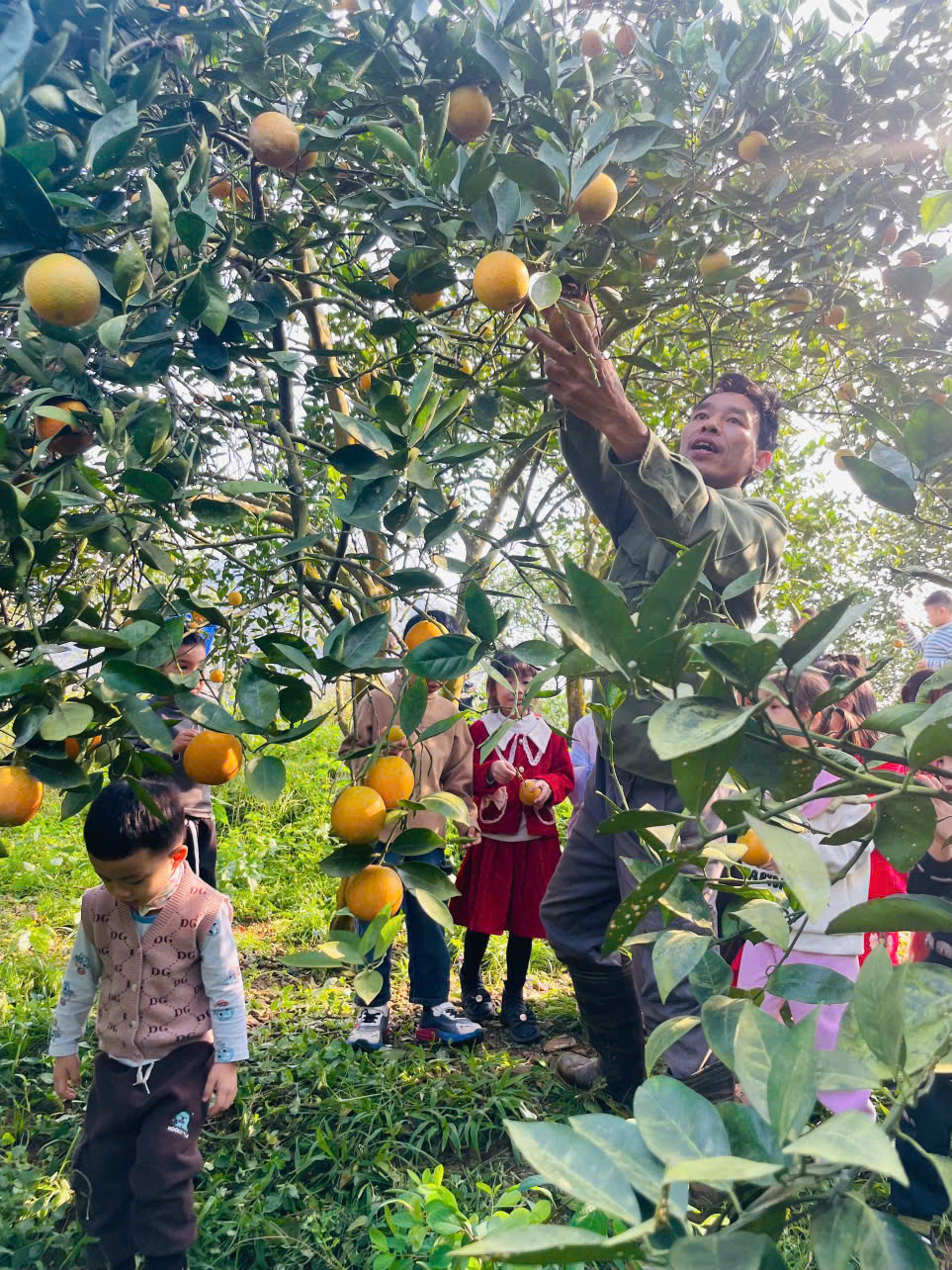 597805298 1427739439359671 4476633545257983473 n