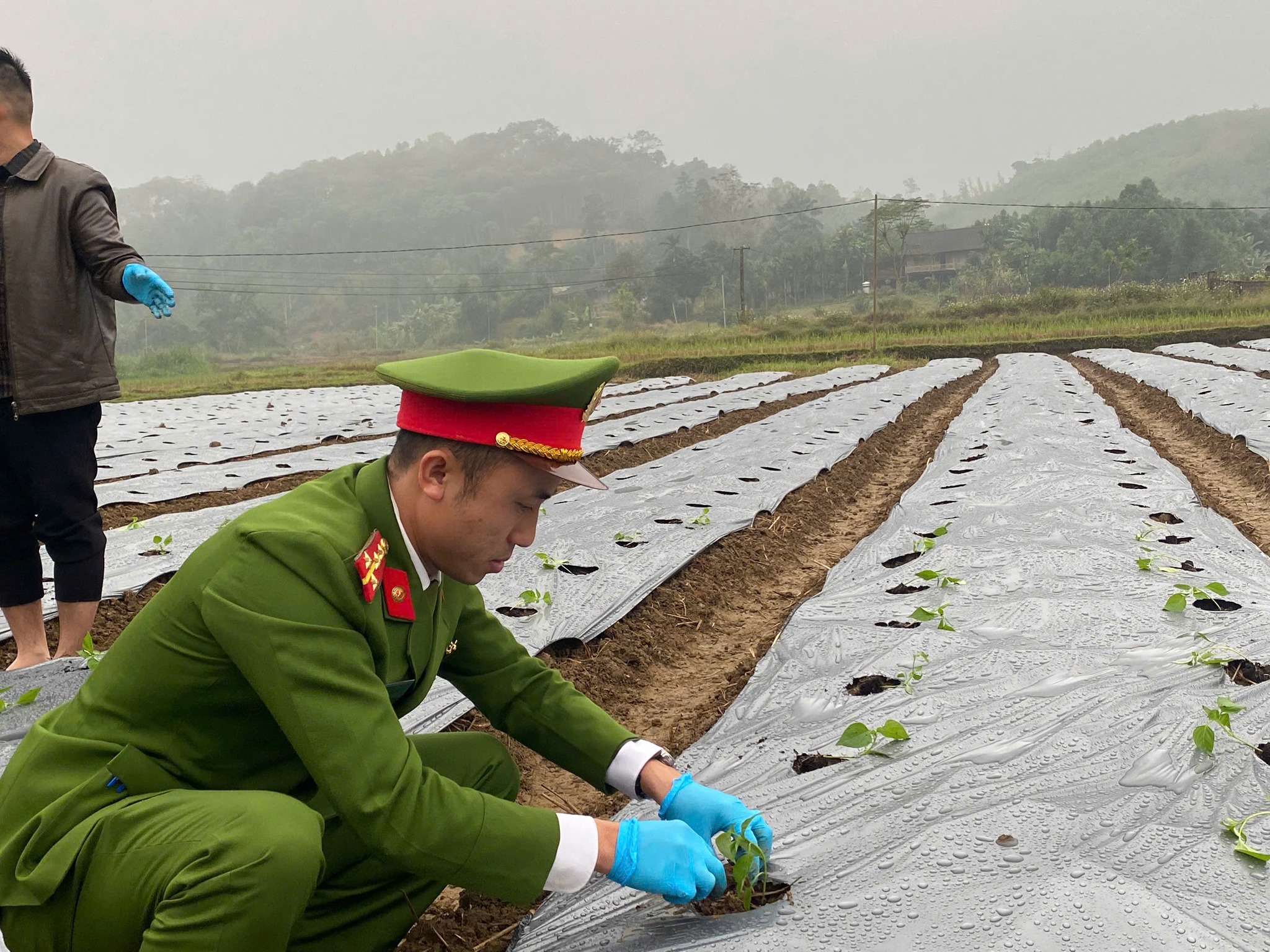 597857500 122152955978924737 2393447518920430773 n