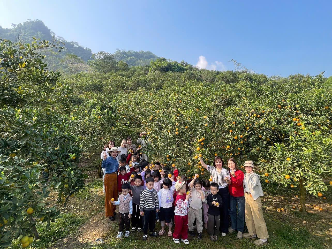 598036672 1427742952692653 1242290873085011310 n