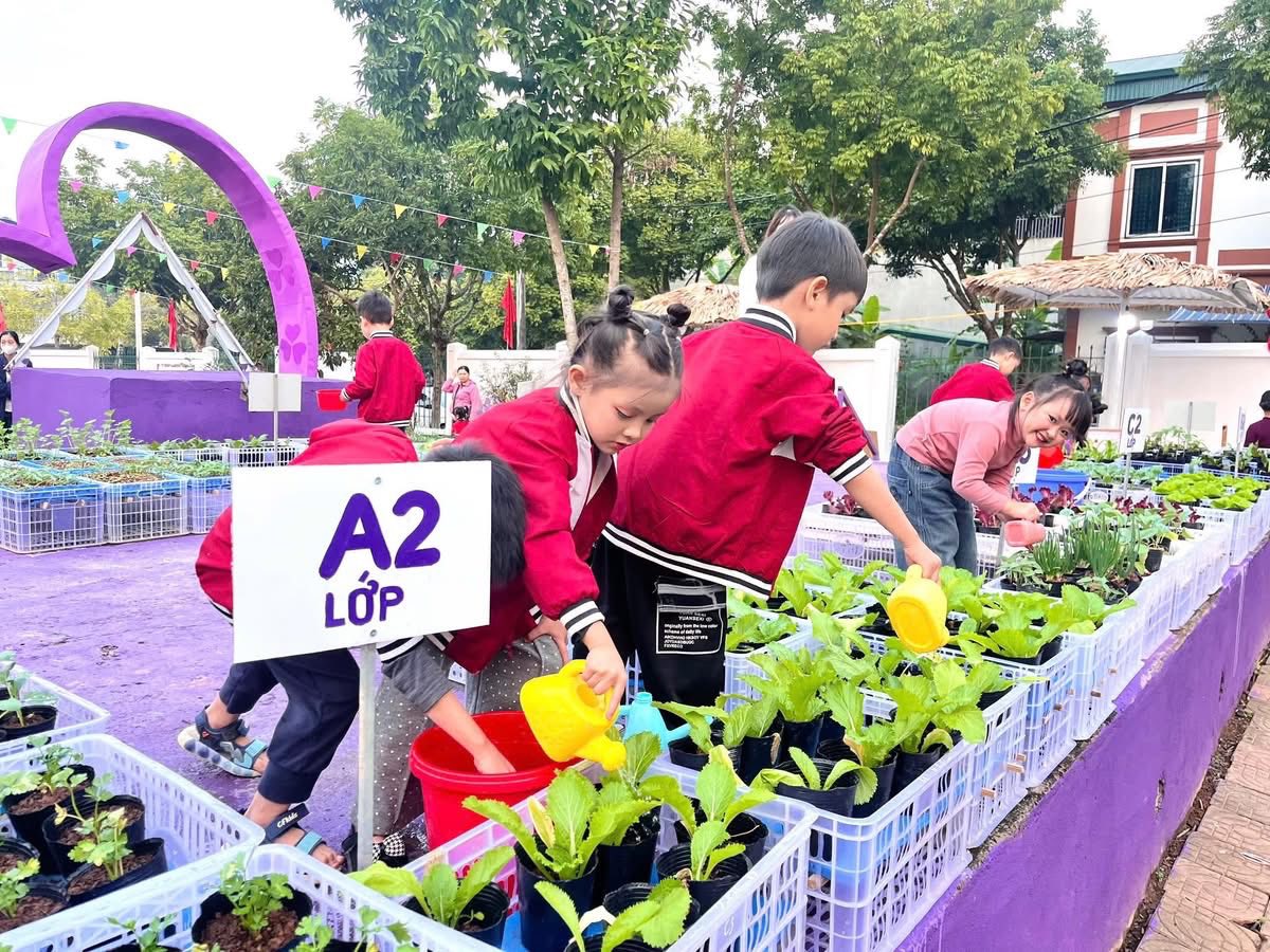 Lớp học giữa thiên nhiên xanh – Hành trình gieo mầm hạnh phúc cho trẻ mầm non Cam Đường 11 599079978 122148300368925719 7654342197630640821 n