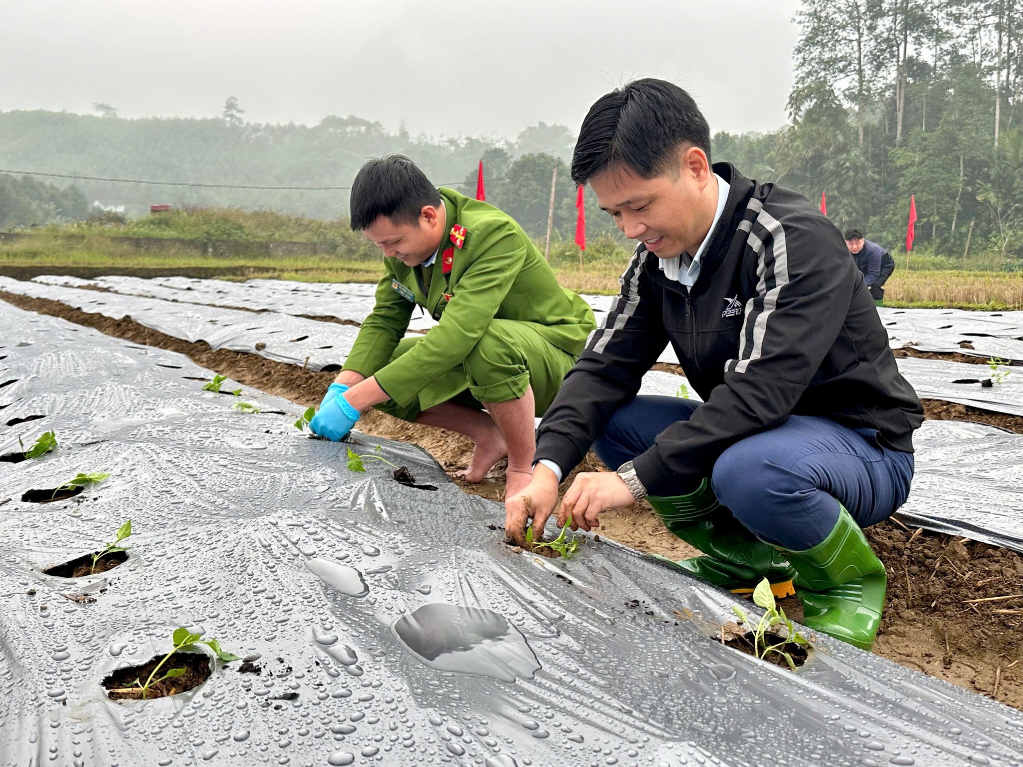 600033564 122152956542924737 4480491903809837807 n