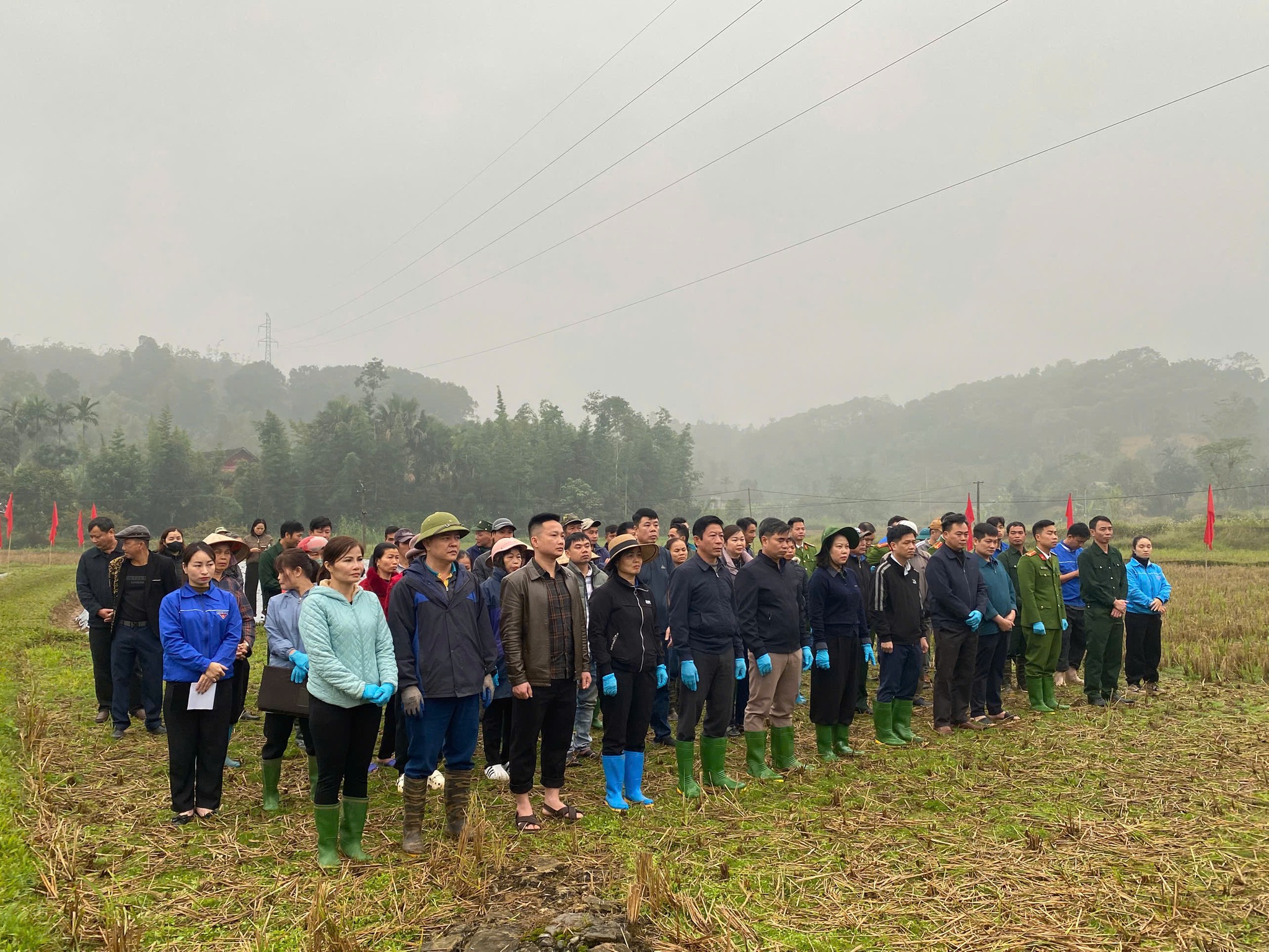 600068441 122152957142924737 7393669038196535018 n