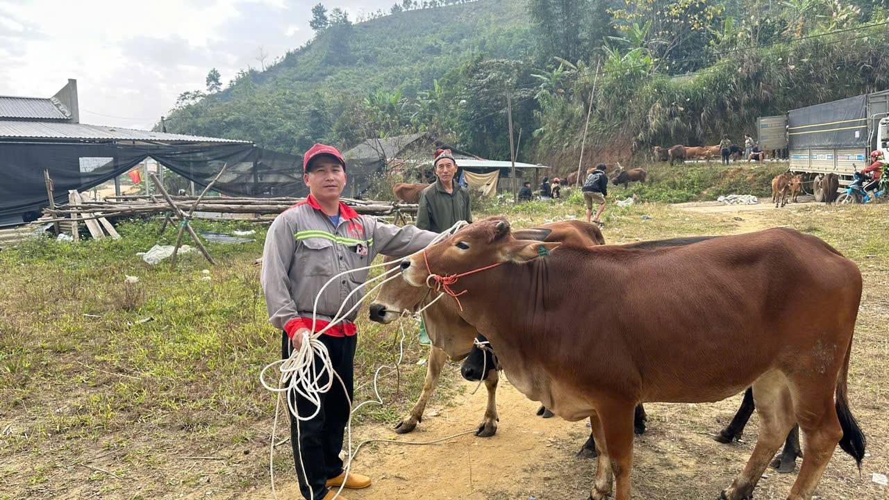 600877511 1387621376488331 5767230510635247442 n