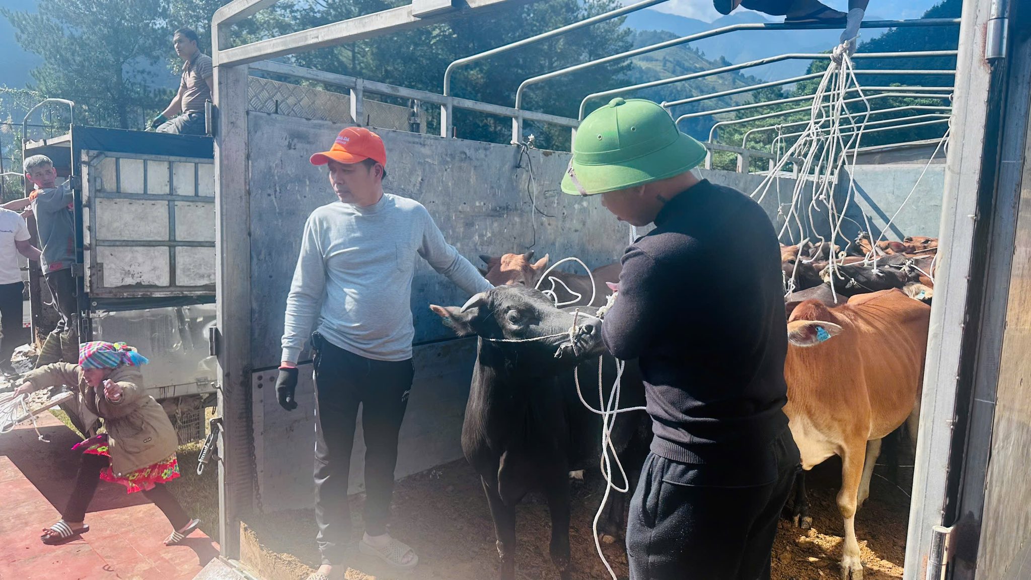 601512132 1189149009864230 795298519964113581 n