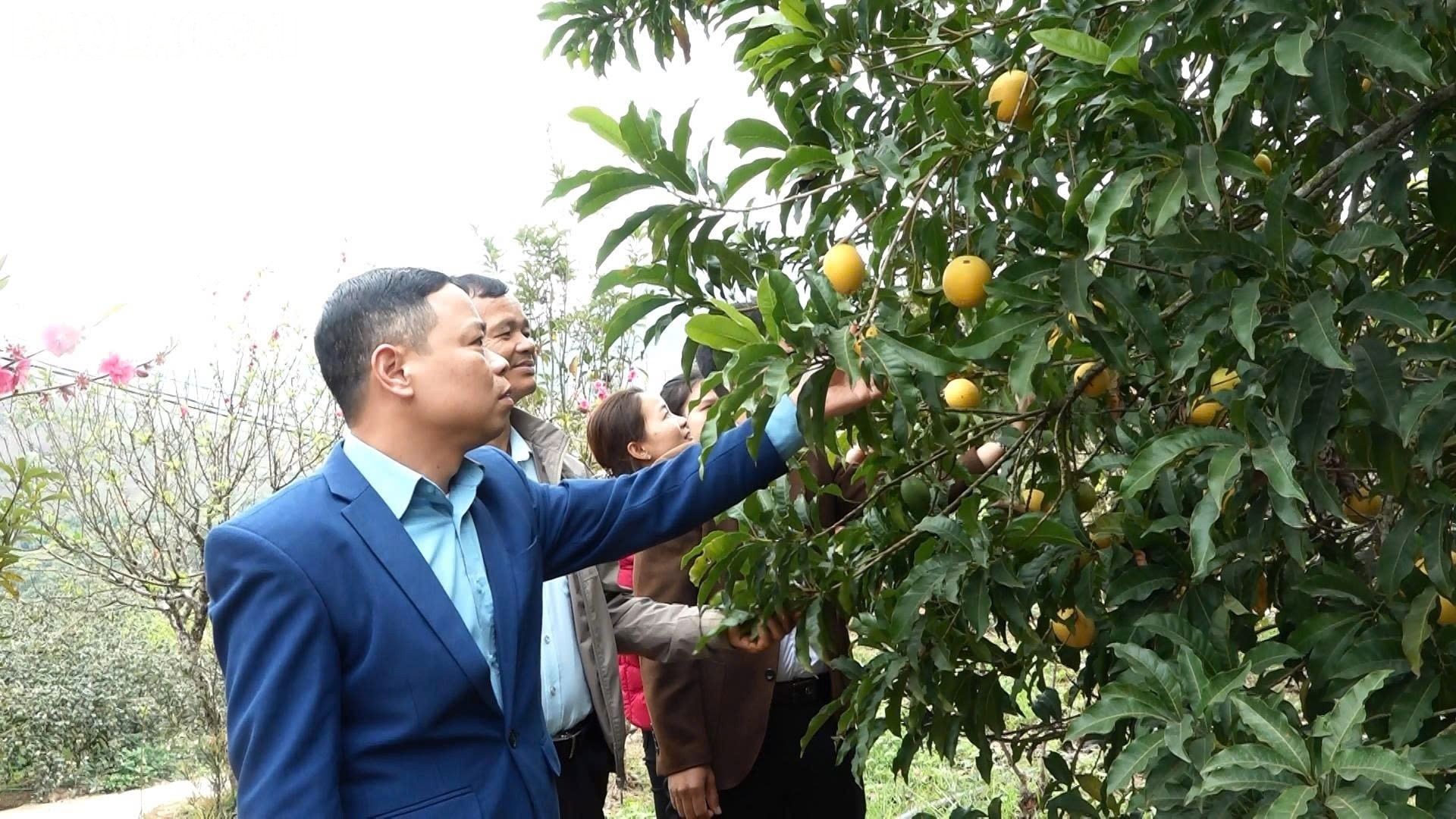 602307620 815415924860420 7637989807964147395 n