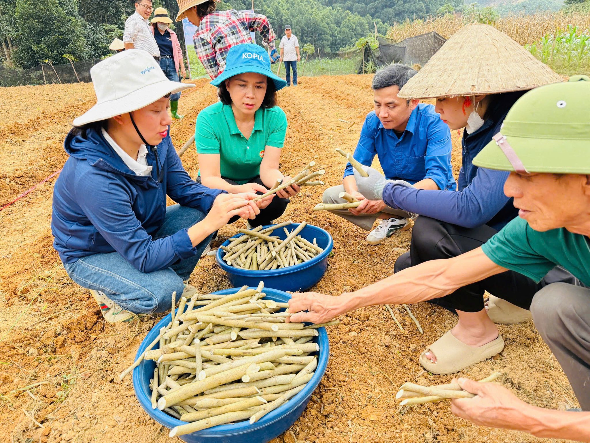 602332966 1261759735988617 313077183799156340 n