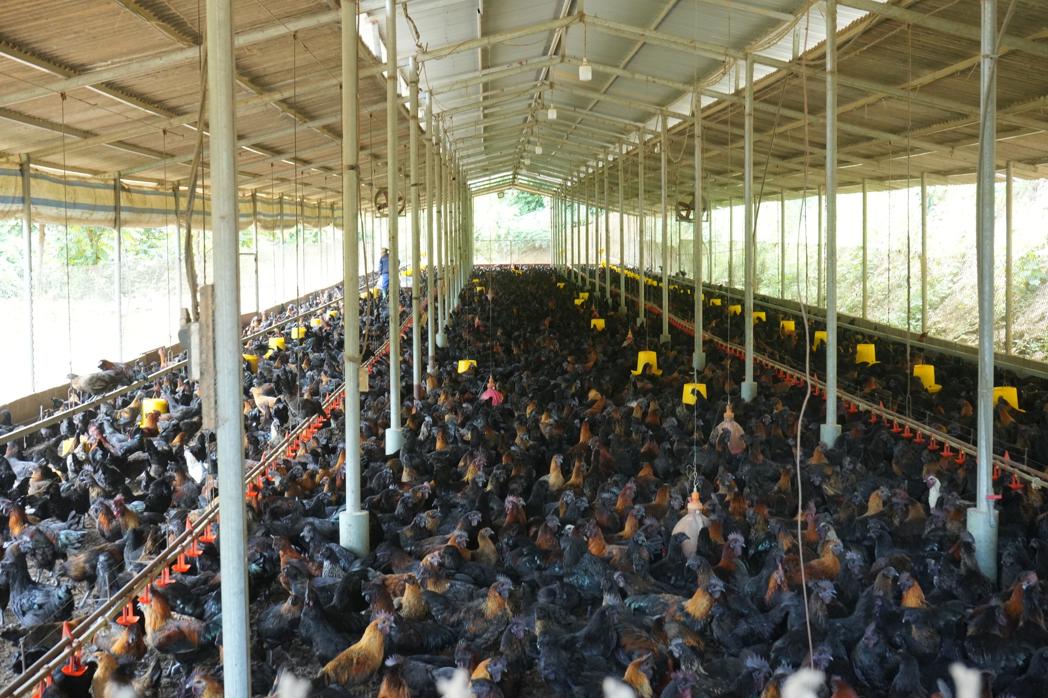 602341988 885787570654329 3821216543522994147 n