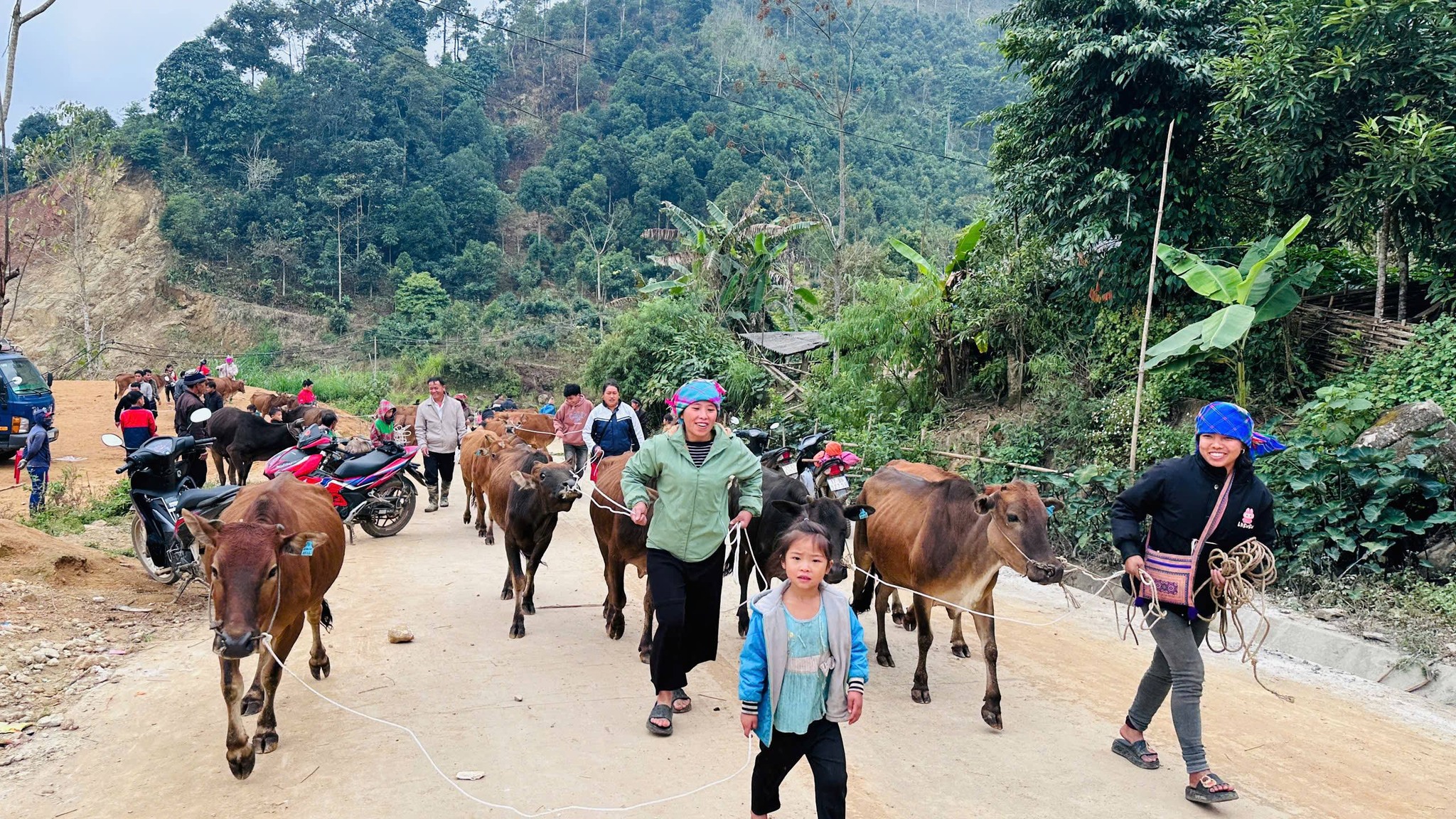 603868698 1387618686488600 6155646458974484748 n