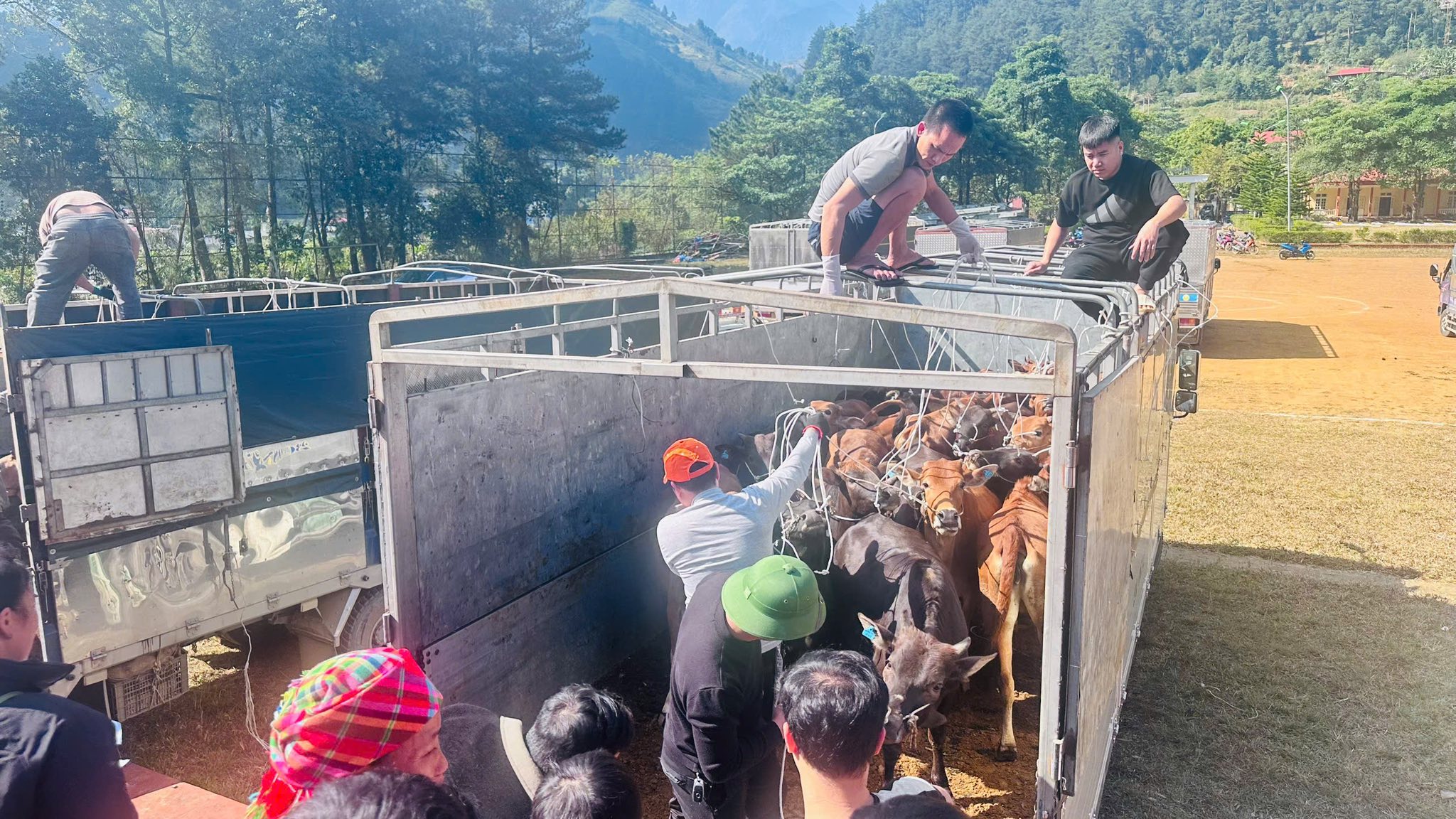 603869169 1189149159864215 8254479064380743543 n