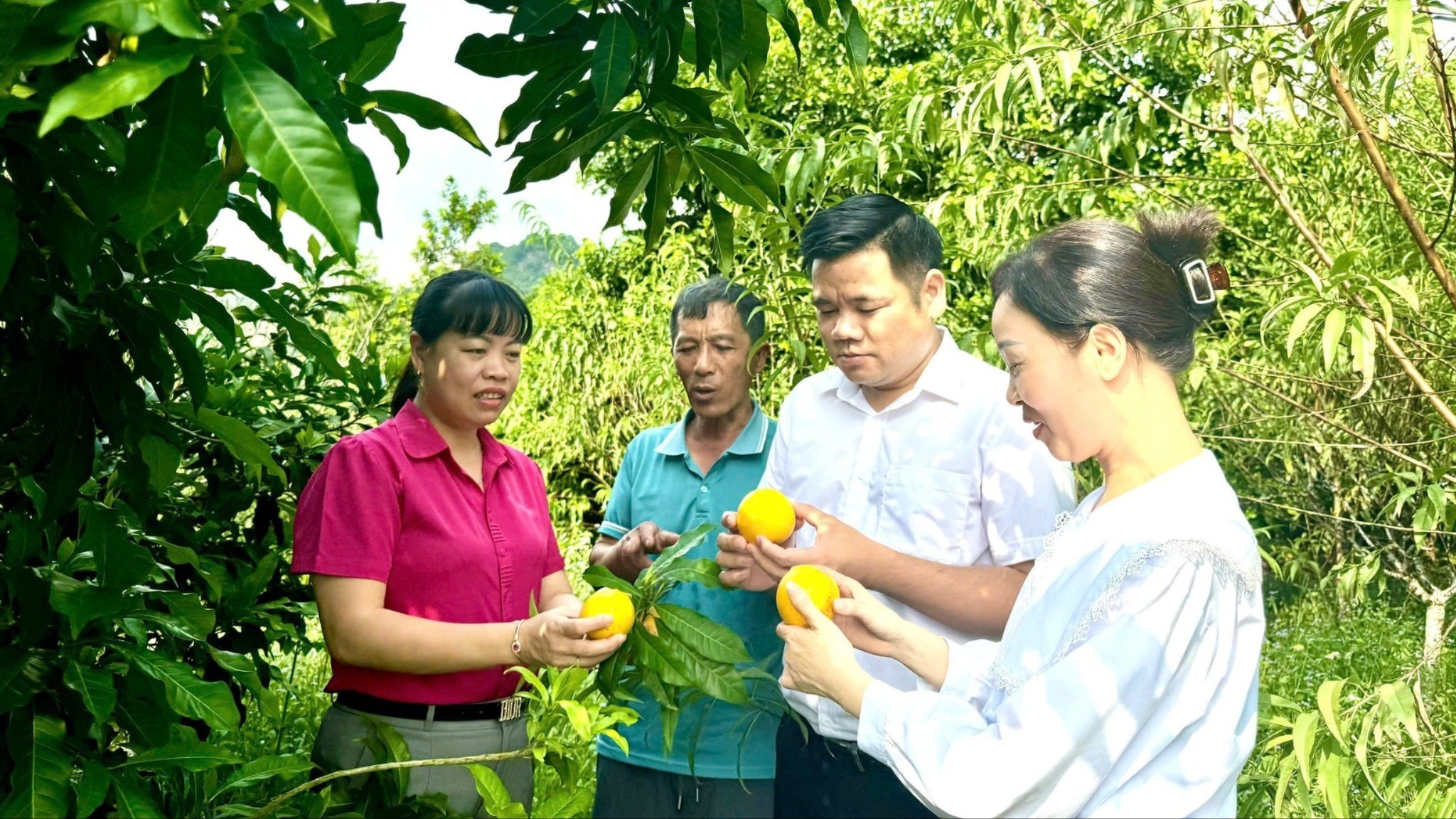 604747578 815415928193753 5852343994363822392 n