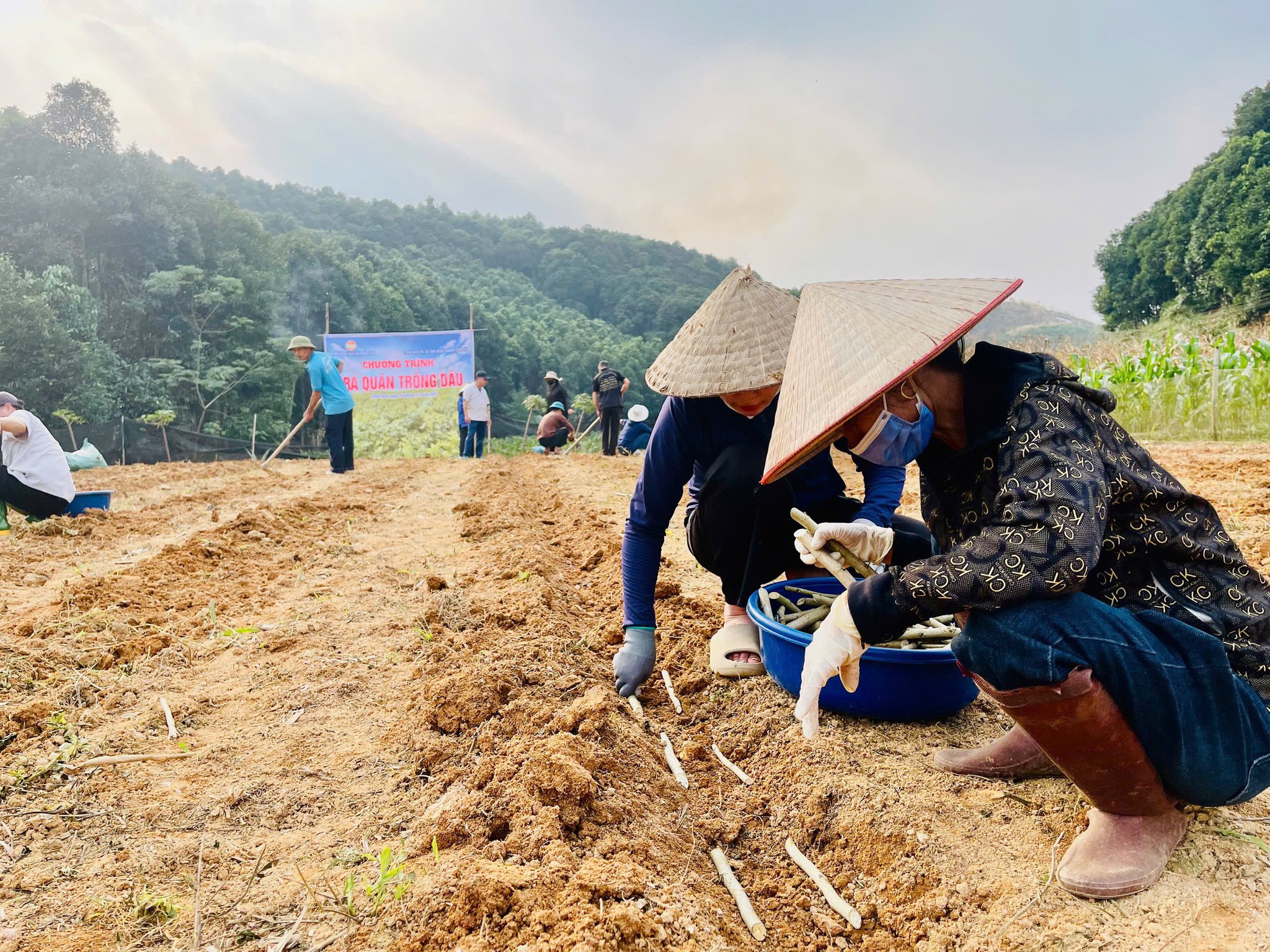 605019548 1261759779321946 9186508098420813072 n