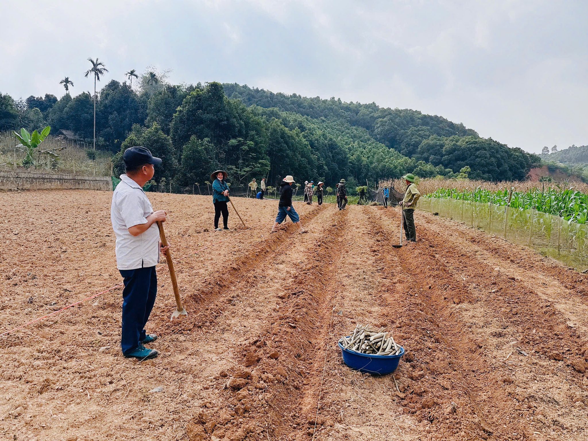 605113228 1261759659321958 7962255481384749491 n