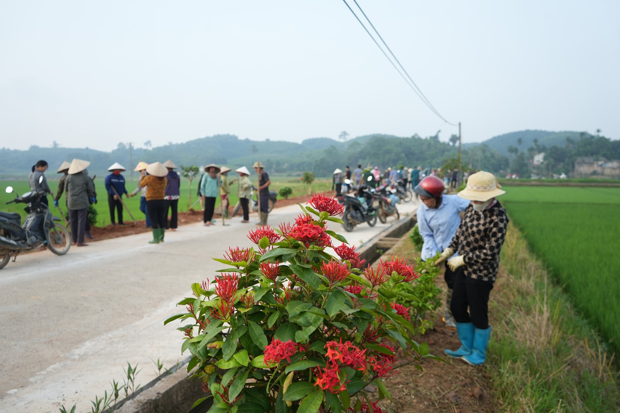 605501409 885787420654344 9026997295514861238 n