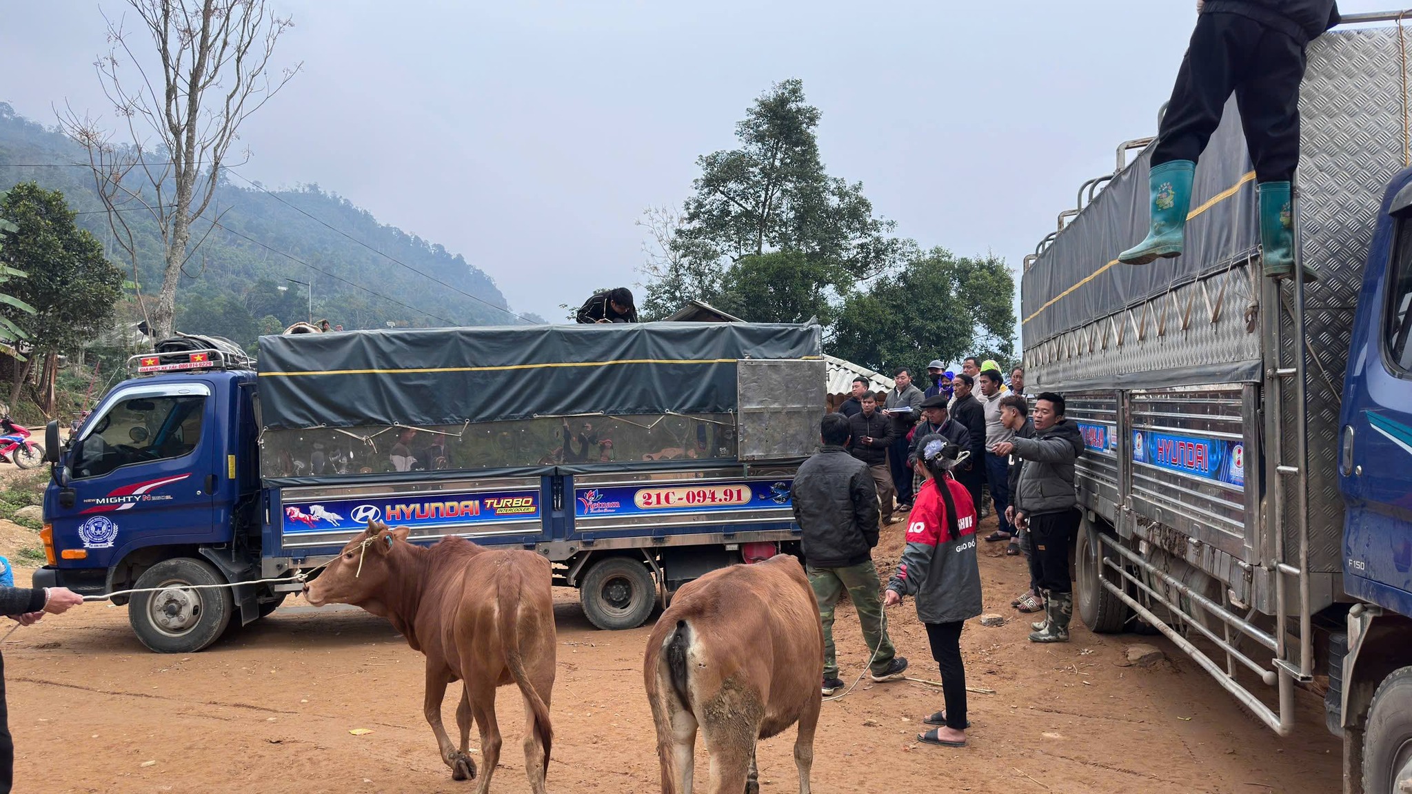 605910021 1387618899821912 1825894074565971905 n