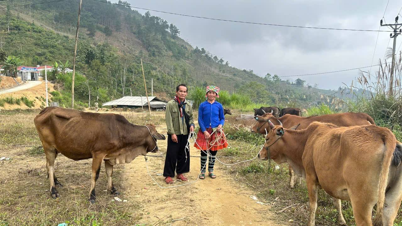 606661841 1387621339821668 3009843034990910106 n