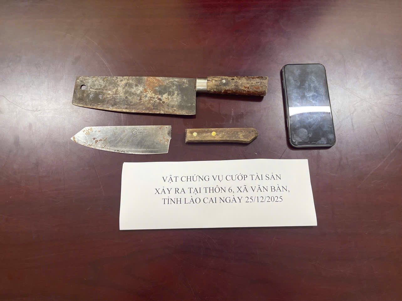 608567416 845361551663888 8591836484203917856 n