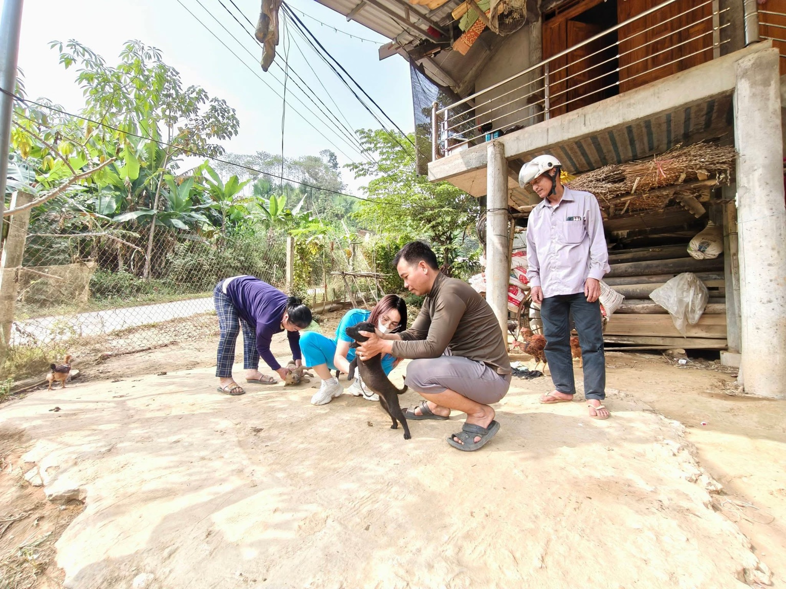 Yên Thành tổ chức khám và tiêm phòng dại miễn phí cho vật nuôi: Chung tay bảo vệ sức khỏe cộng đồng 5 720C12EC 0C33 4E08 97EA EBA6D1F84D5F
