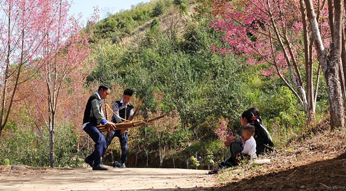 Có hẹn với Mù Cang Chải trong những ngày Xuân rực rỡ 2026 2 Dieu Dien Duong Pho 03