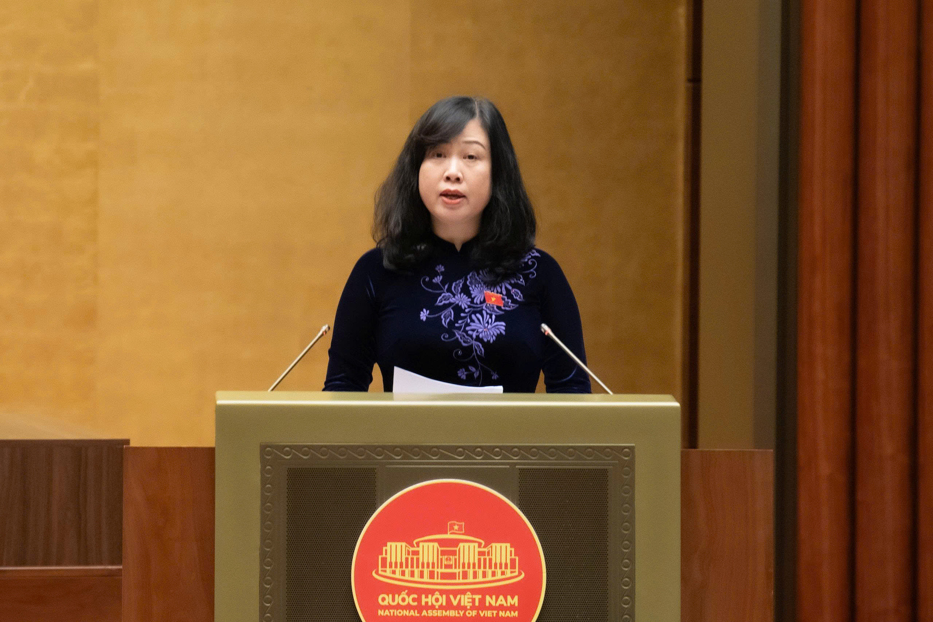 Người dân sẽ được khám sức khỏe định kỳ miễn phí từ 2026 2 Bộ trưởng Y tế Đào Hồng Lan. Ảnh: Quốc hội