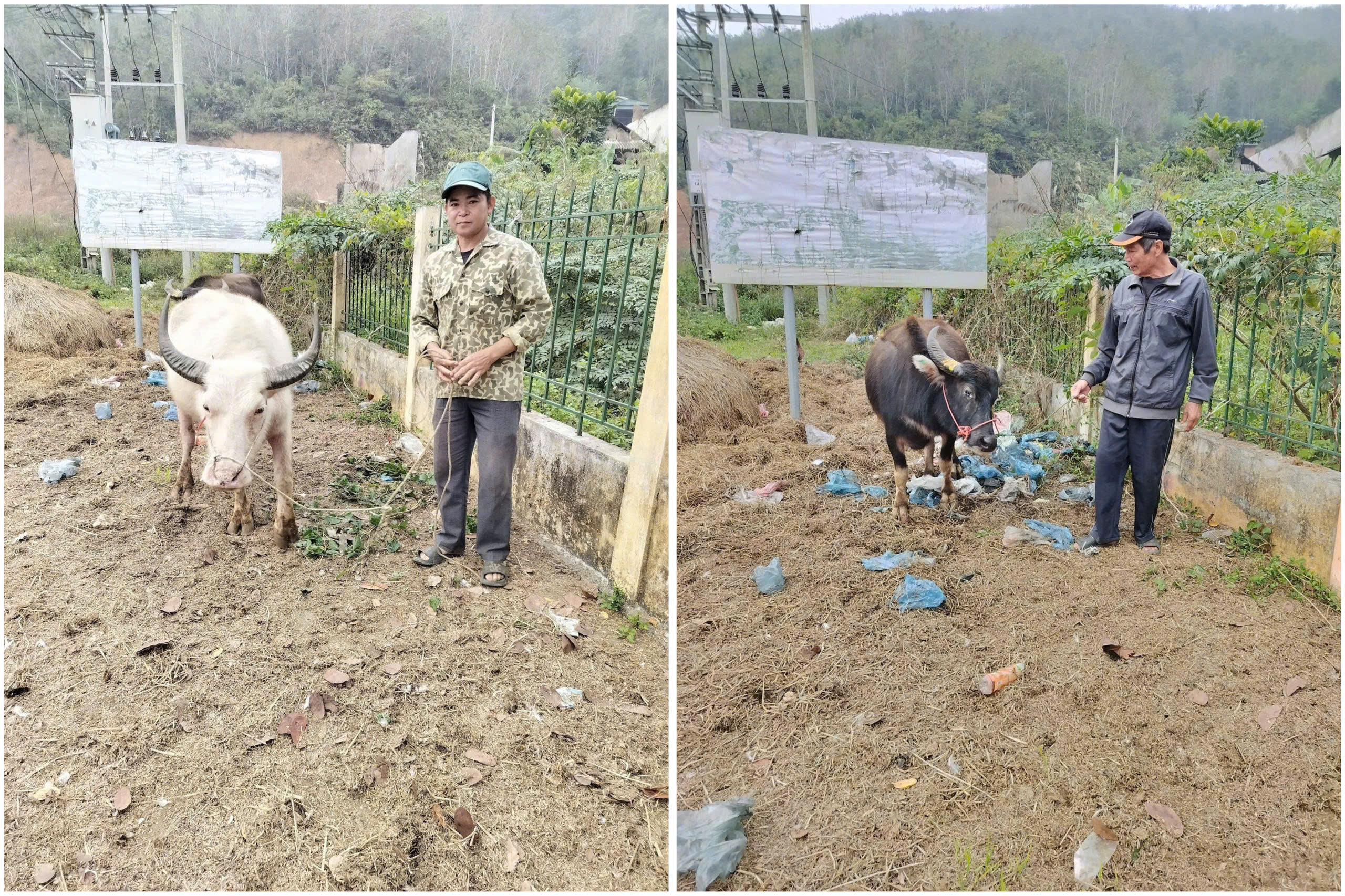 z7295118187755 a97c1bb5261b0e851e89735185beb420