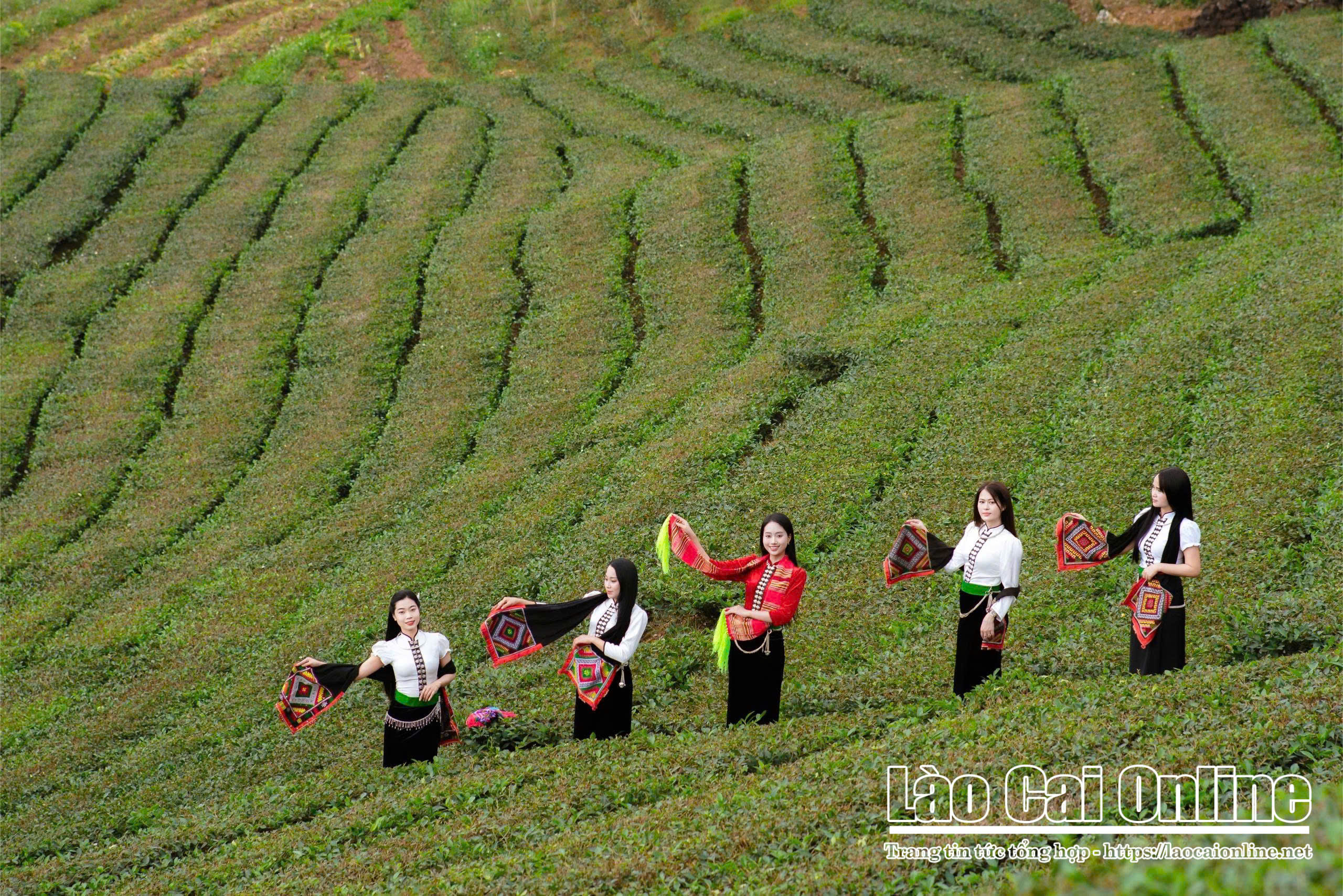 z7334835789133 b78d04d0593d8d7e873703b5501a23d7