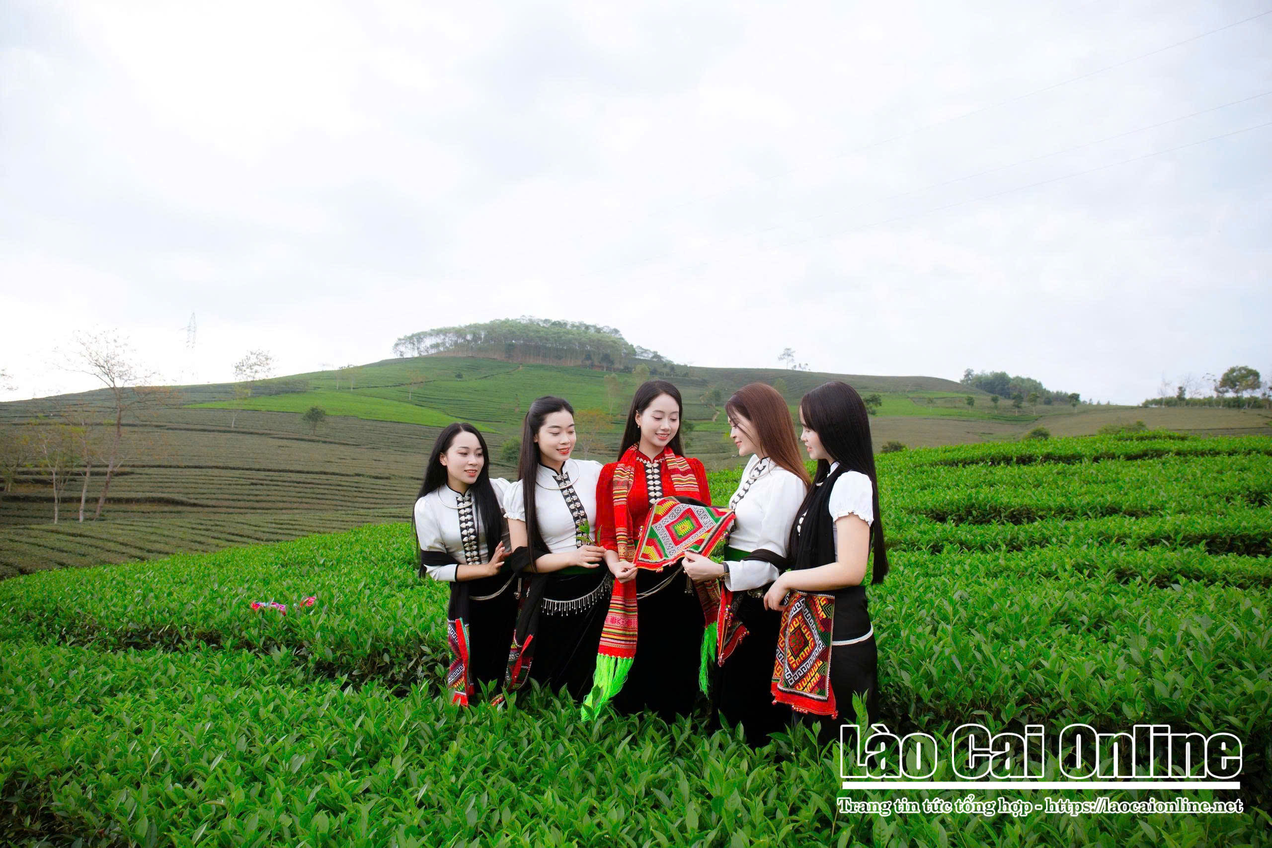 z7334835794441 c8f1f24de2431eba7fed44e1c5ae6df2