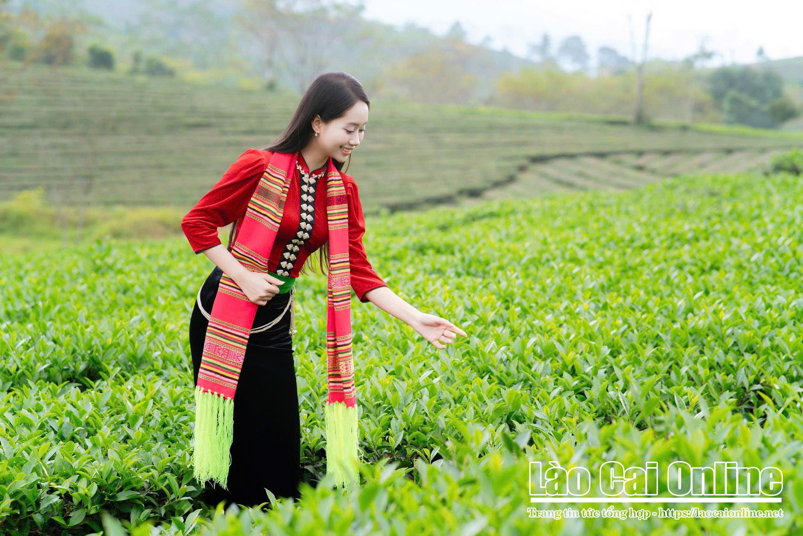 z7334835798813 86f0c7272f8b6d7f52bbe1c8c9c7d335